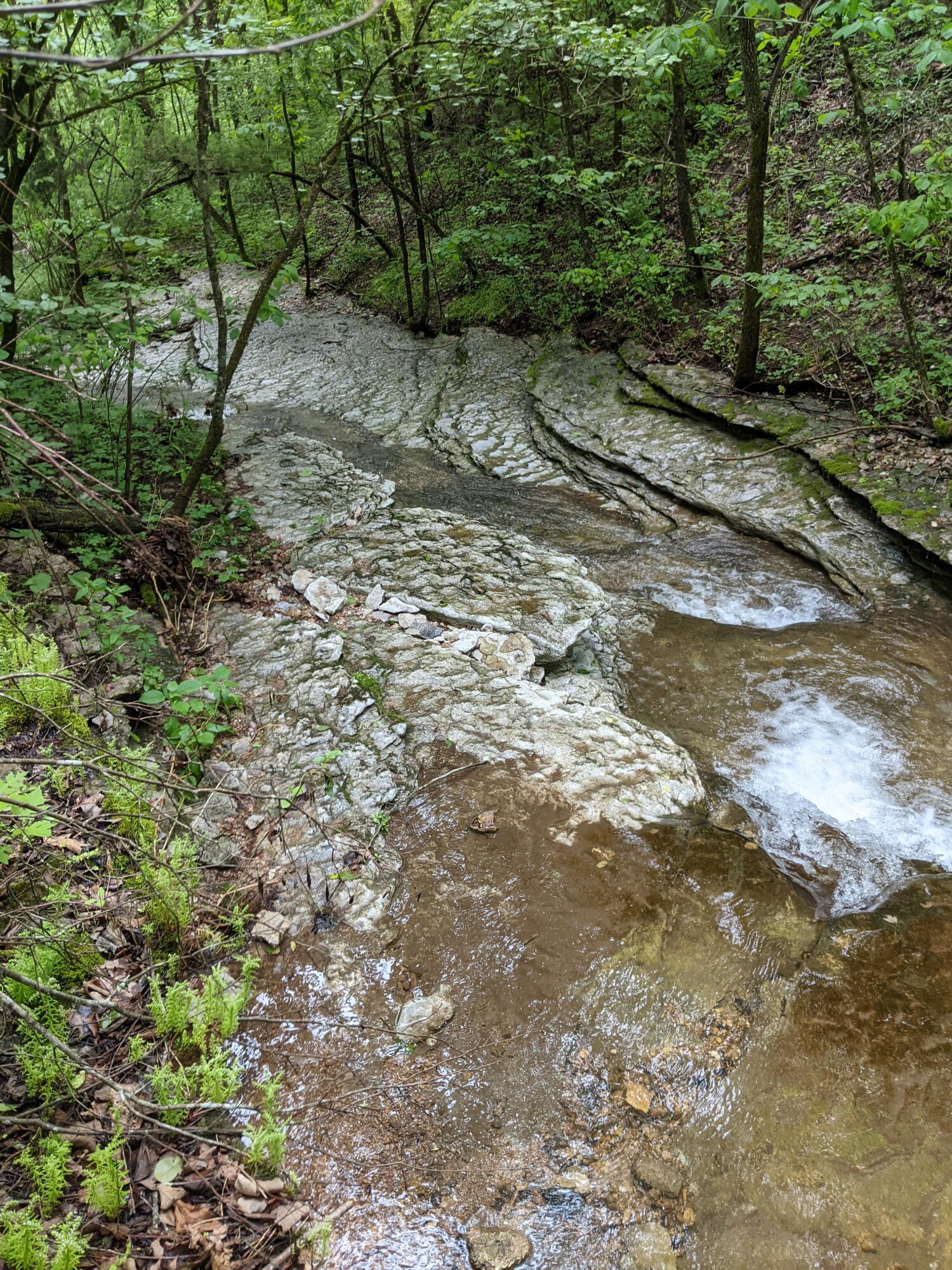 Photo 29 - Land for sale – 000  Coyote Ridge Road   Cassville, MO