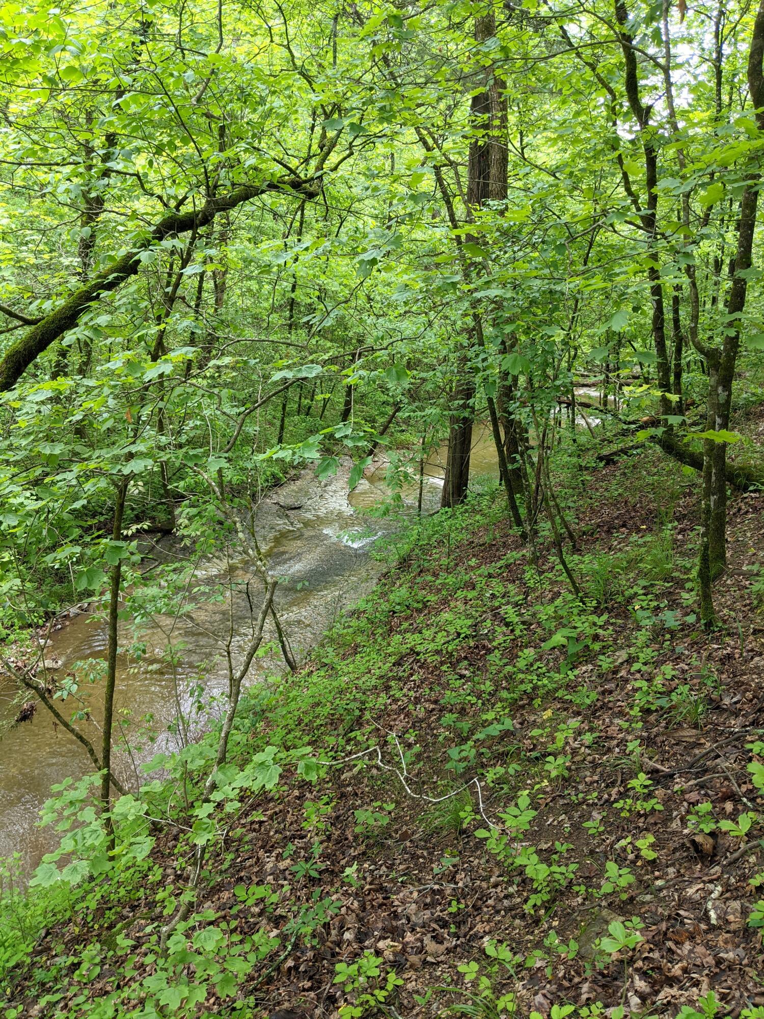 Photo 27 - Land for sale – 000  Coyote Ridge Road   Cassville, MO