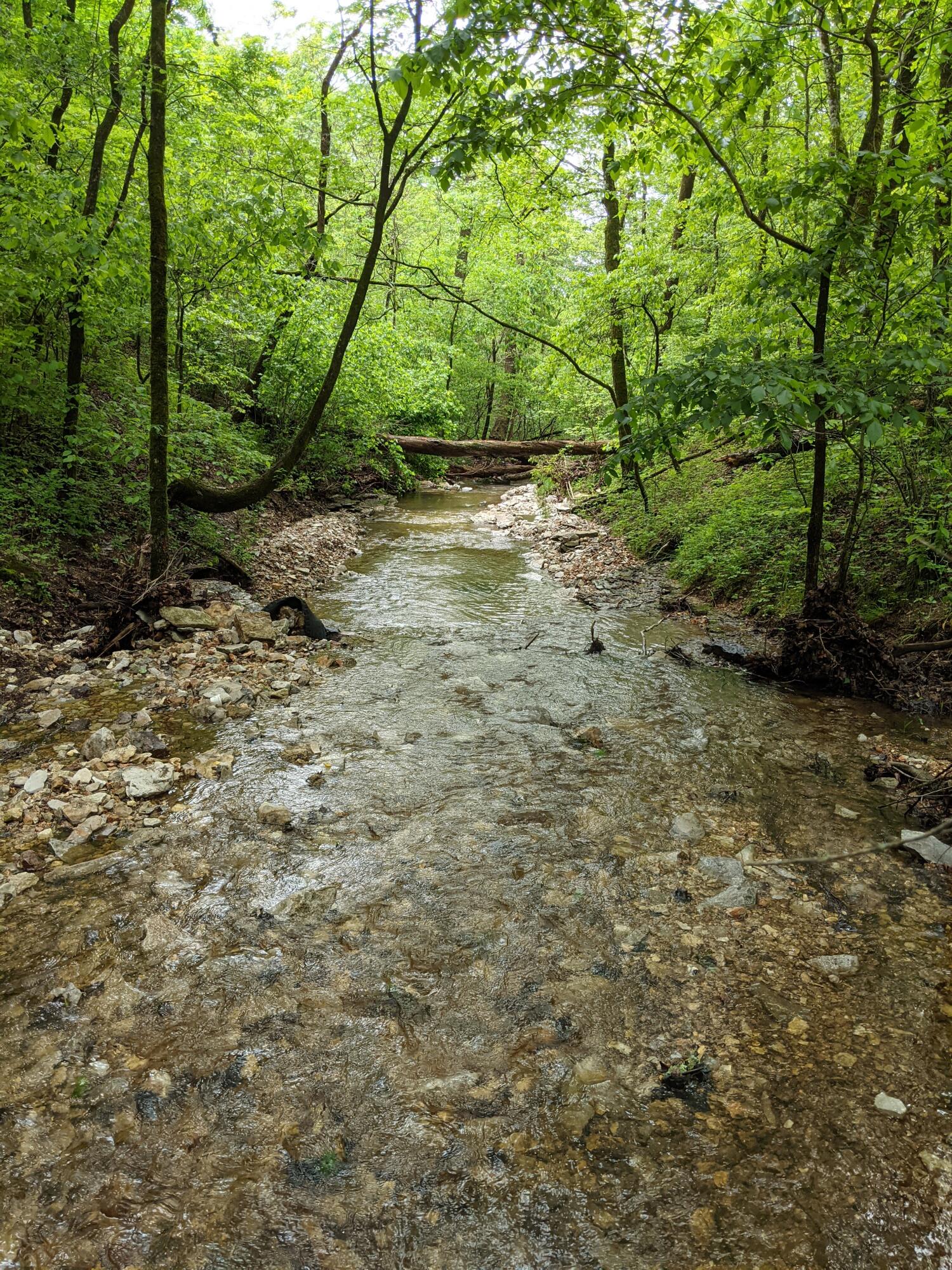 Photo 23 - Land for sale – 000  Coyote Ridge Road   Cassville, MO