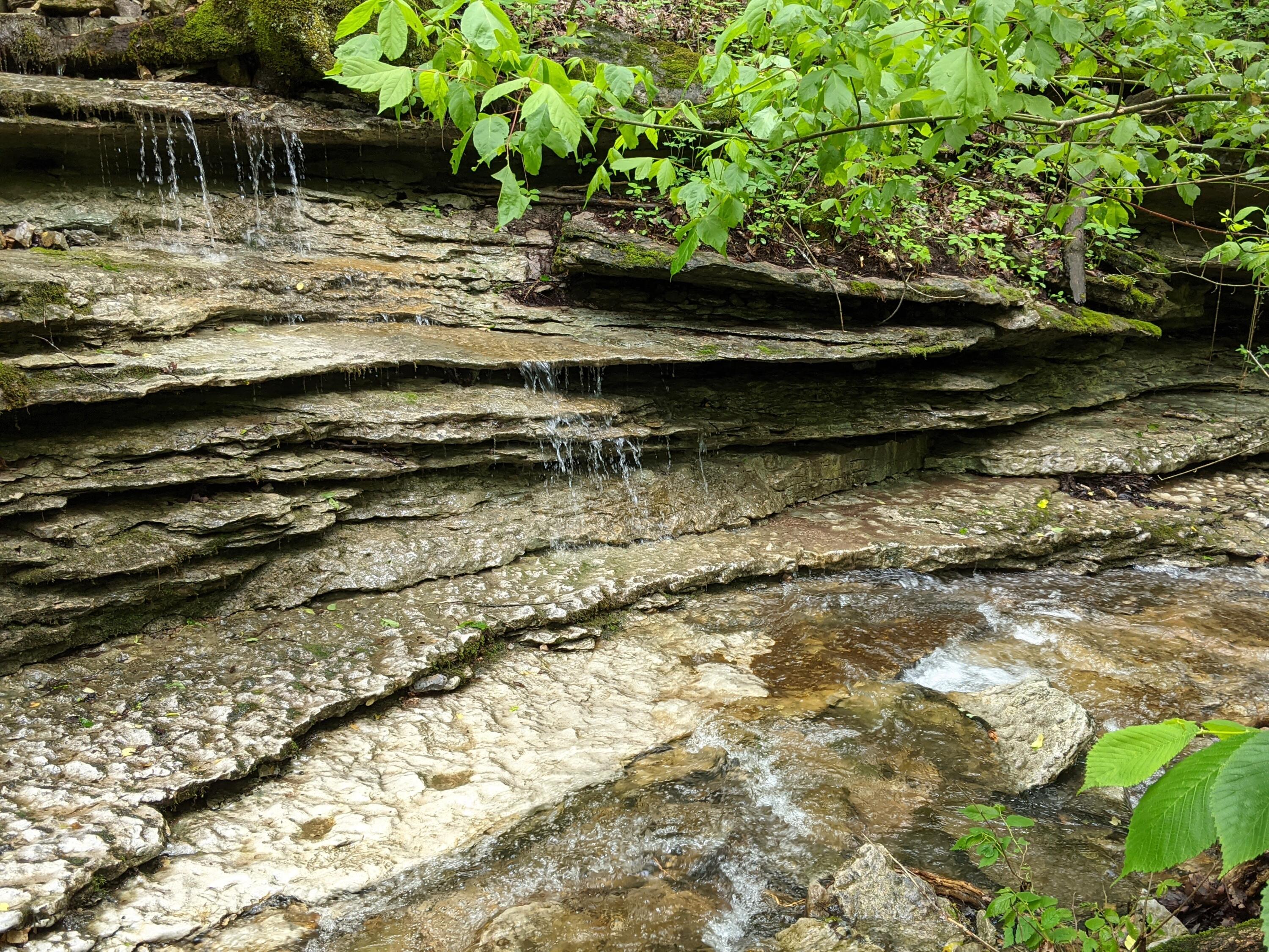 Photo 32 - Land for sale – 000  Coyote Ridge Road   Cassville, MO