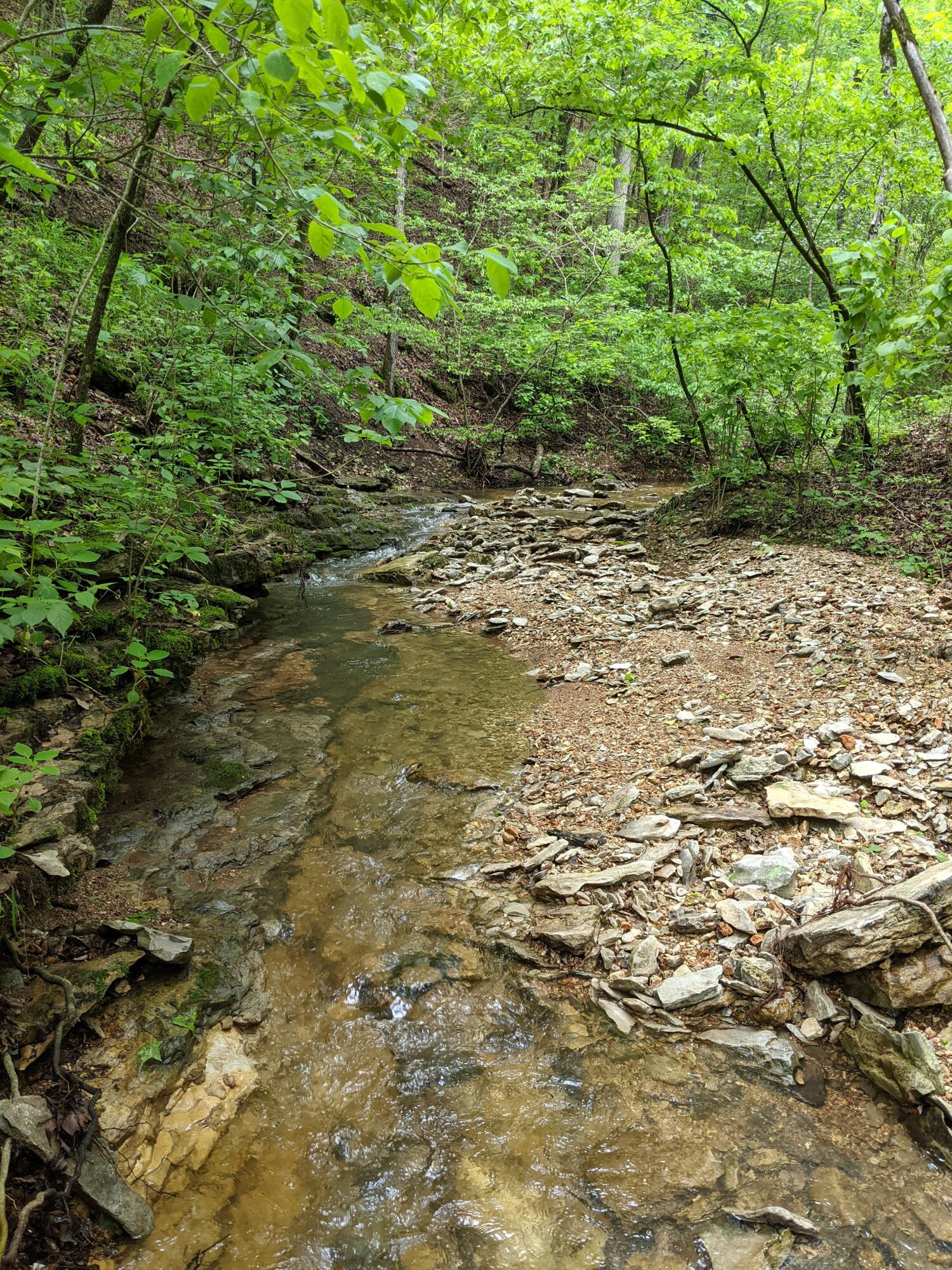 Photo 12 - Land for sale – 000  Coyote Ridge Road   Cassville, MO