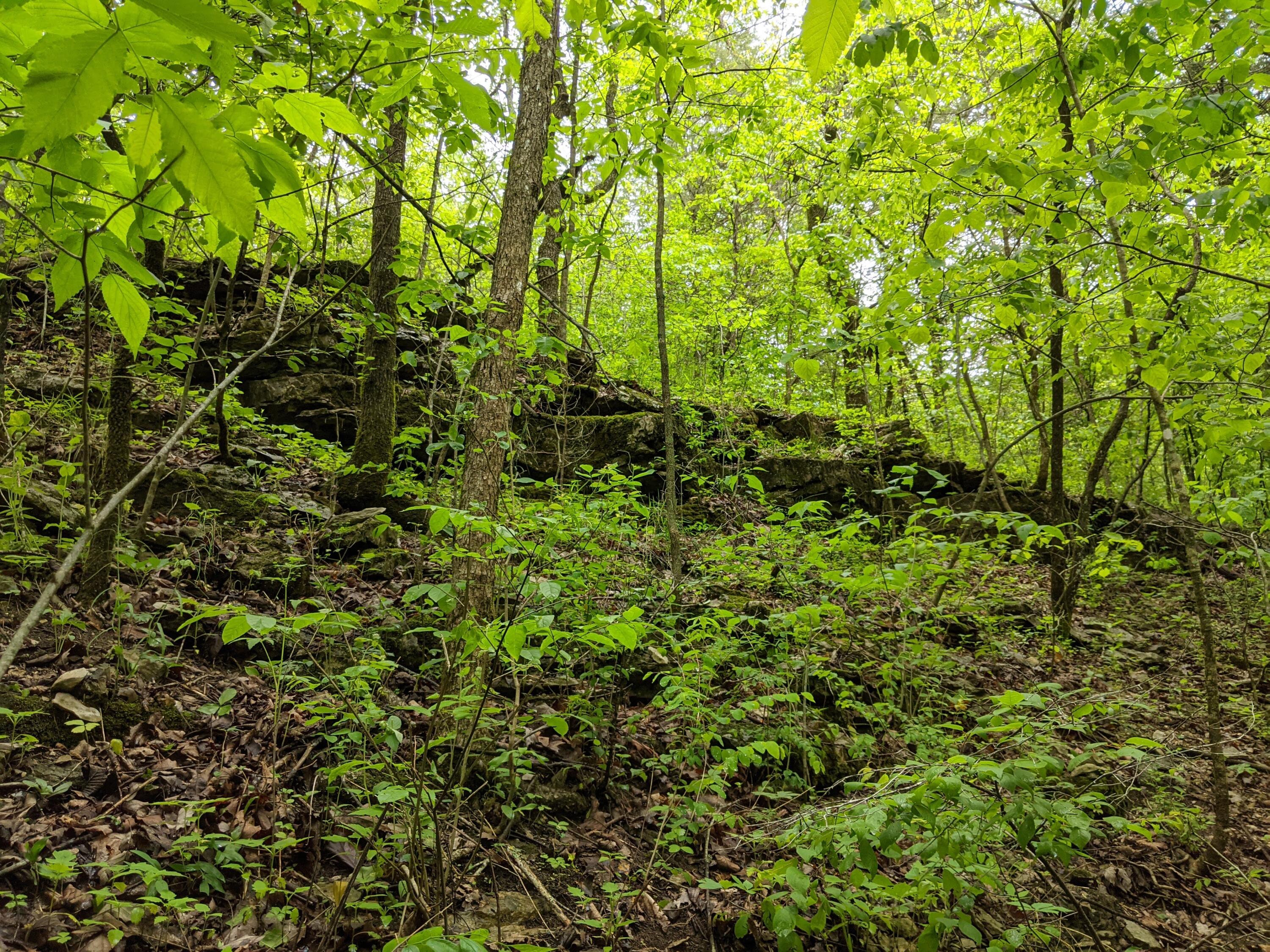 Photo 19 - Land for sale – 000  Coyote Ridge Road   Cassville, MO