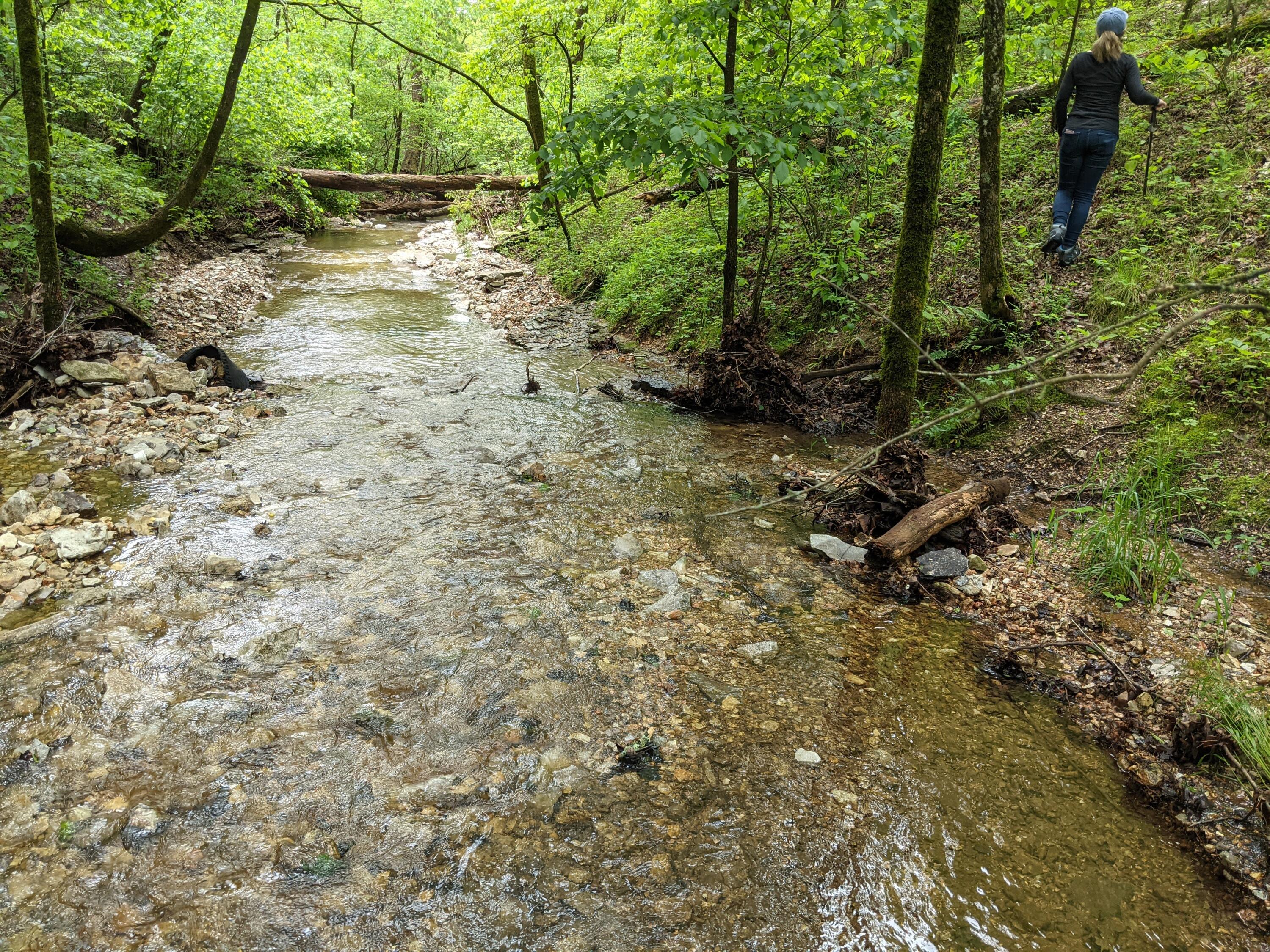 Photo 24 - Land for sale – 000  Coyote Ridge Road   Cassville, MO