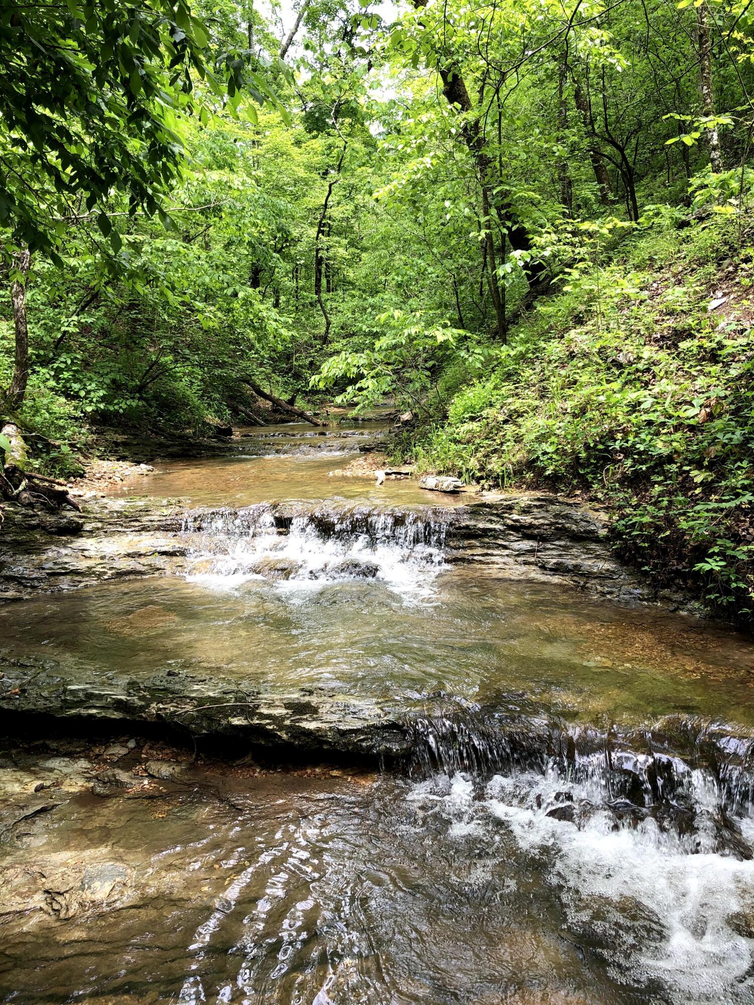 Photo 3 - Land for sale – 000  Coyote Ridge Road   Cassville, MO
