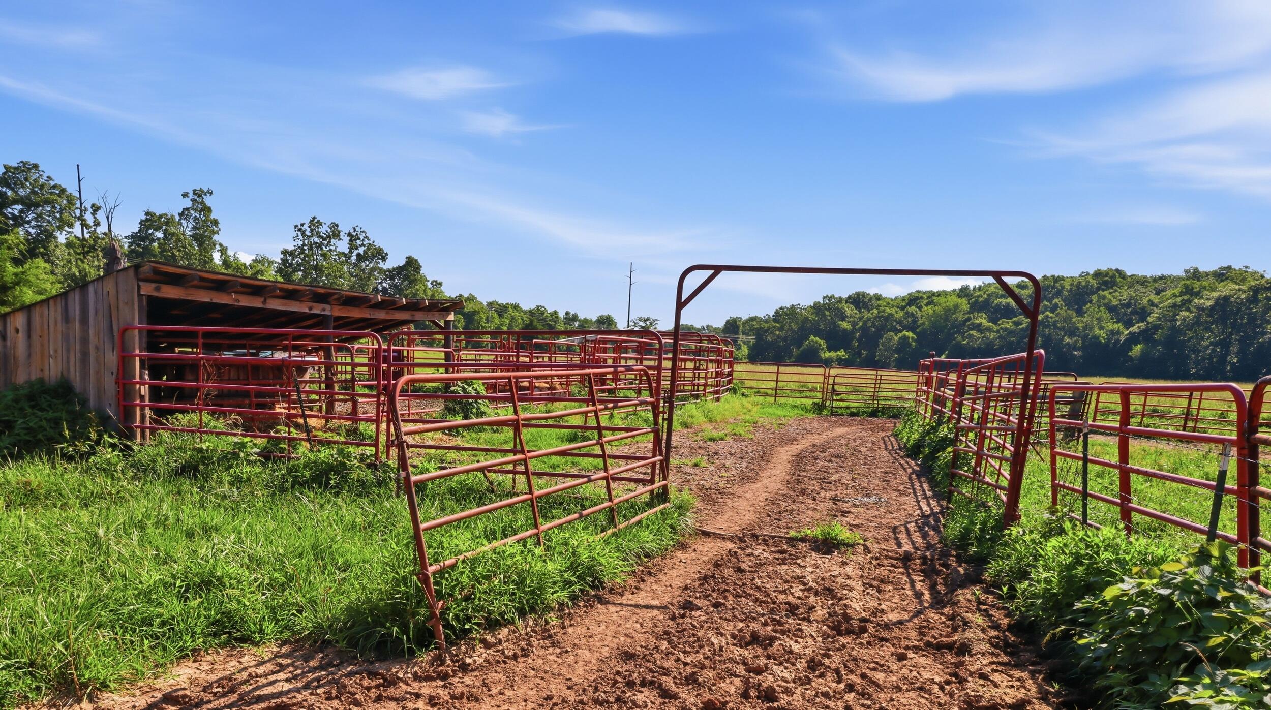 Photo 32 - Farm for sale – 2575  County Road 4990   Willow Springs, MO