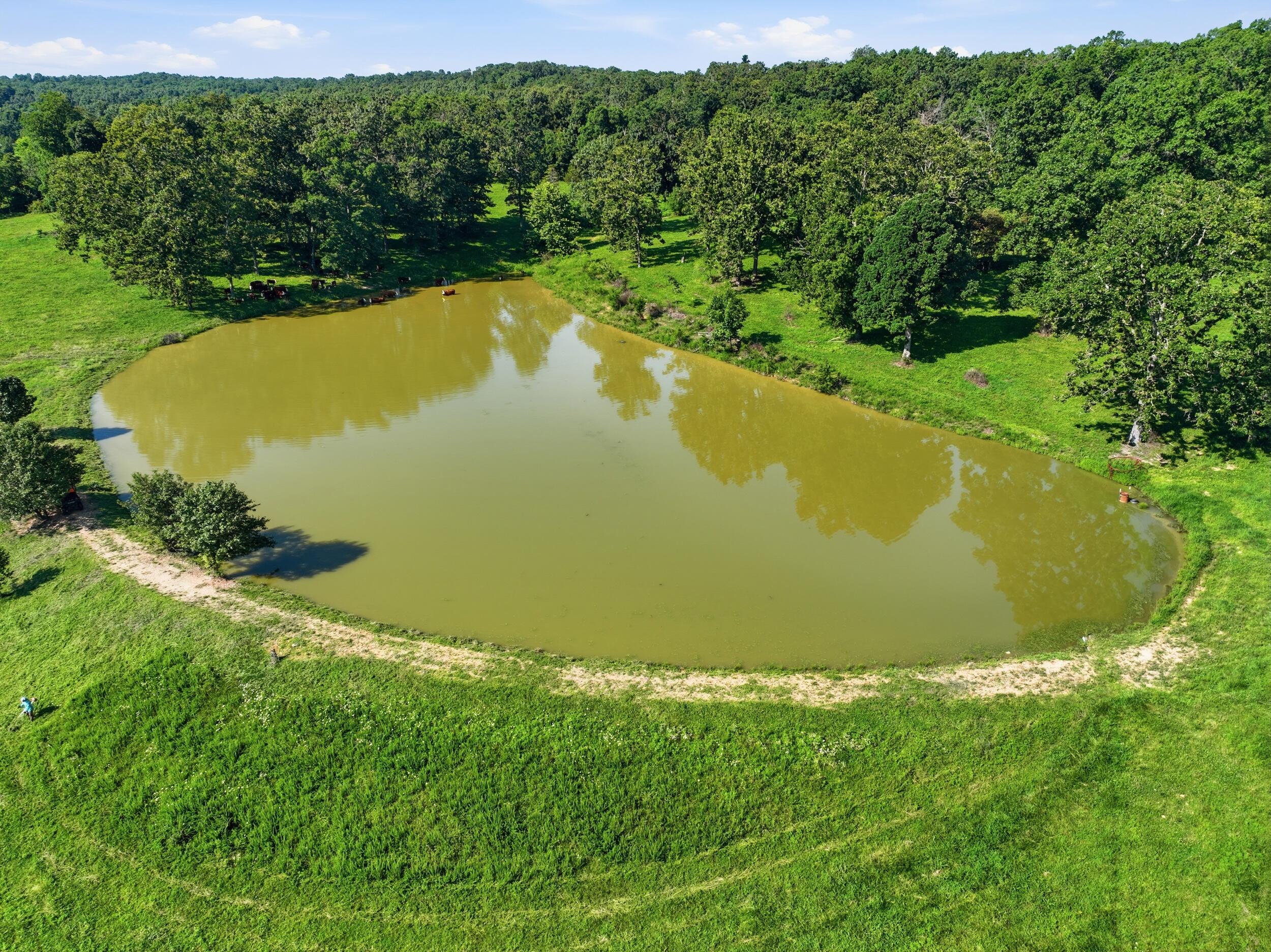 Photo 10 - Farm for sale – 2575  County Road 4990   Willow Springs, MO
