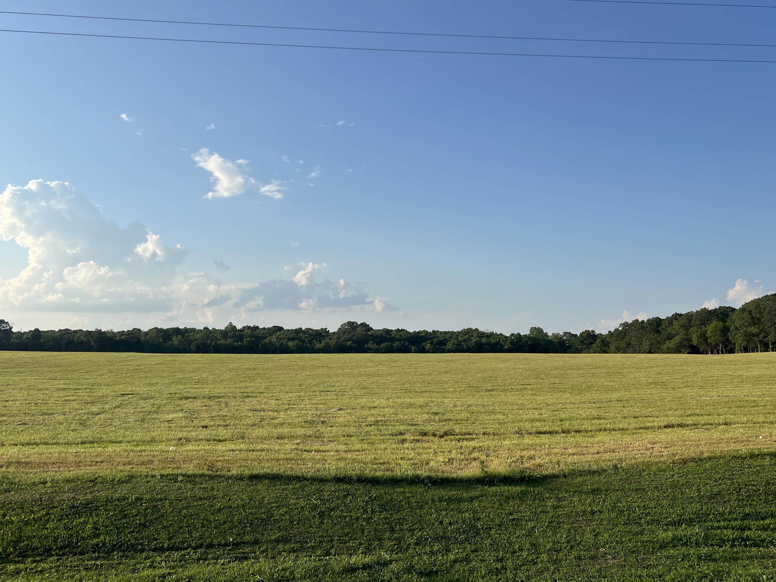 Photo 12 - Land for sale – 000  Tt Highway  Crane, MO