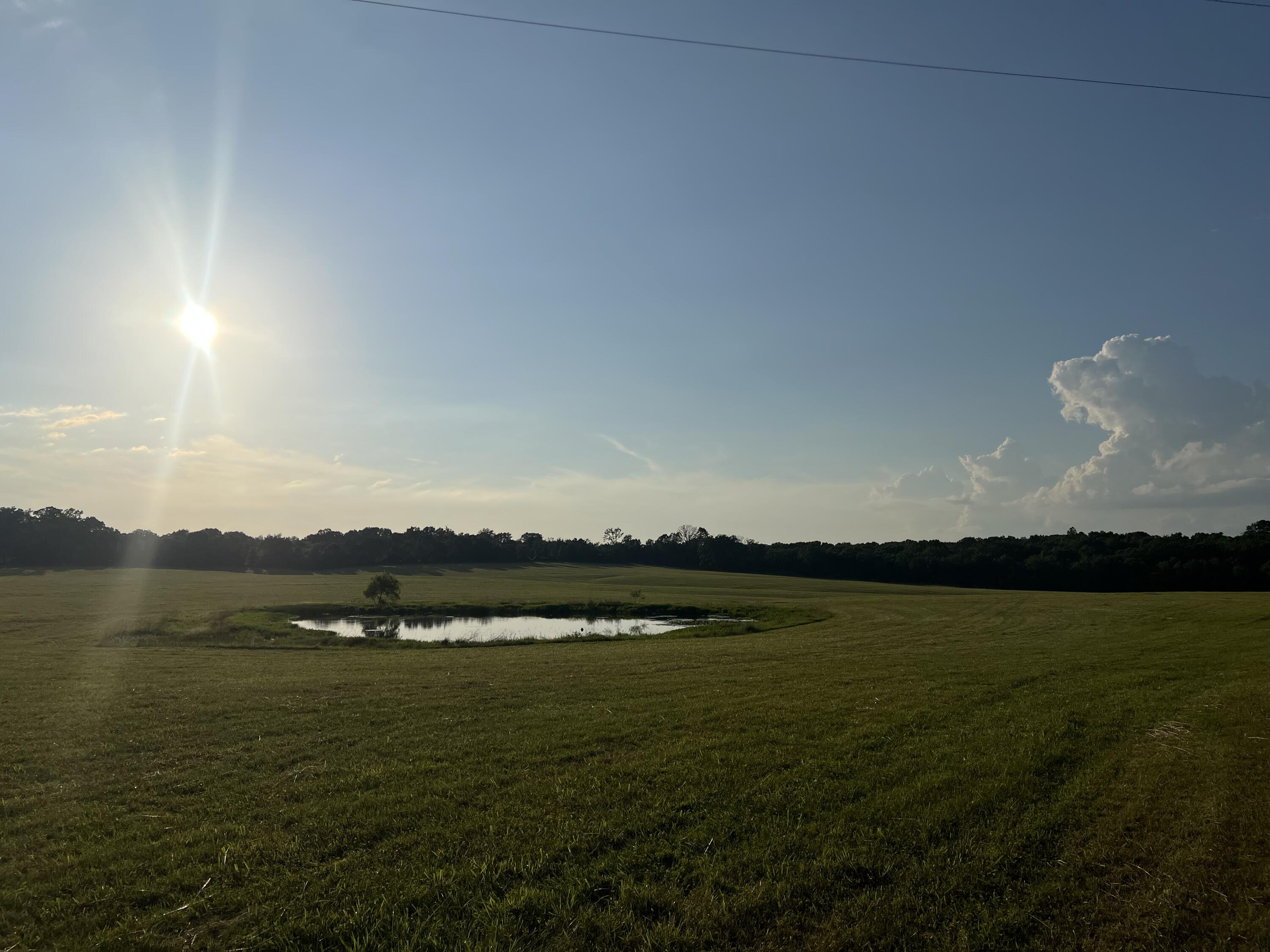 Photo 13 - Land for sale – 000  Tt Highway  Crane, MO