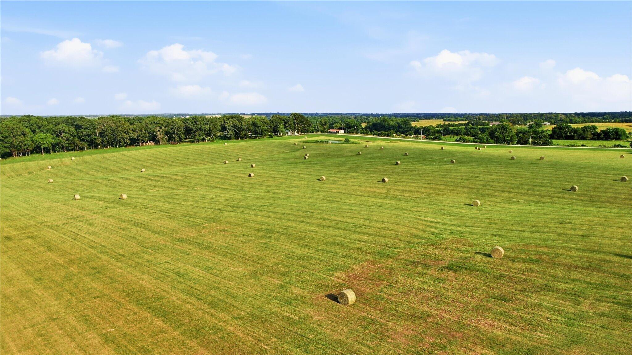 Photo 5 - Land for sale – 000  Tt Highway  Crane, MO