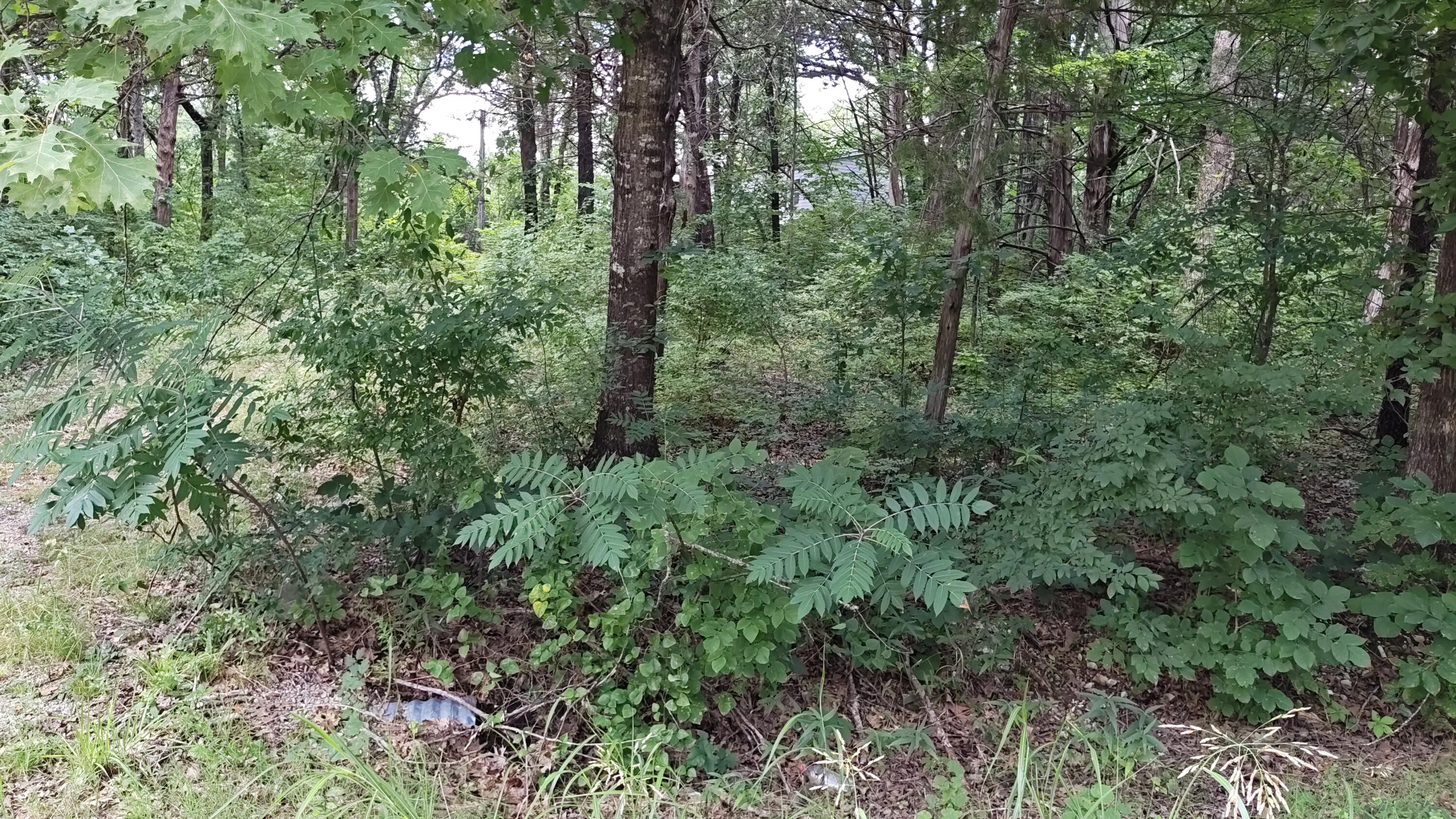 Land for sale – 4185  Oakwood Road  Merriam Woods, MO