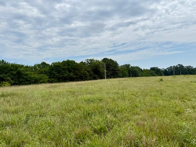Photo 4 - Land for sale – 000  State Highway 76   Ava, MO