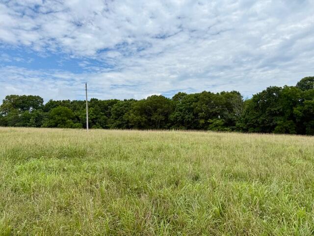 Photo 3 - Land for sale – 000  State Highway 76   Ava, MO