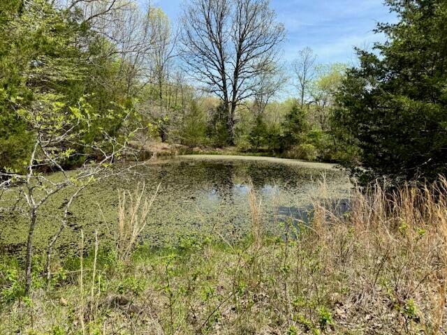 Photo 13 - Land for sale – 000  State Highway 76   Ava, MO