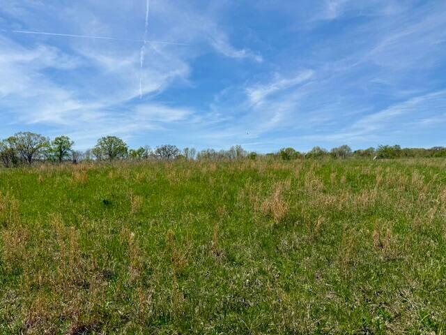 Photo 14 - Land for sale – 000  State Highway 76   Ava, MO