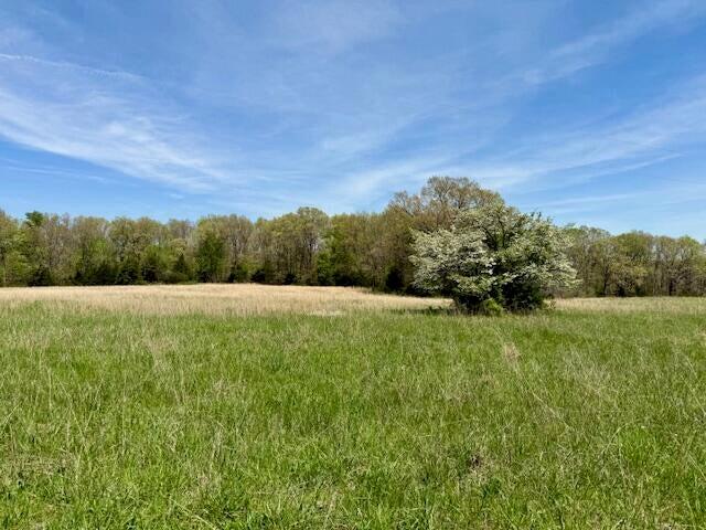 Photo 16 - Land for sale – 000  State Highway 76   Ava, MO