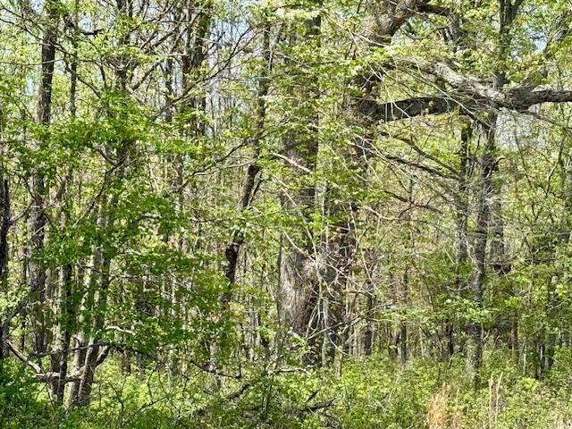 Photo 9 - Land for sale – 000  State Highway 76   Ava, MO