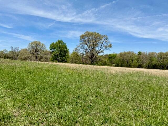 Photo 17 - Land for sale – 000  State Highway 76   Ava, MO
