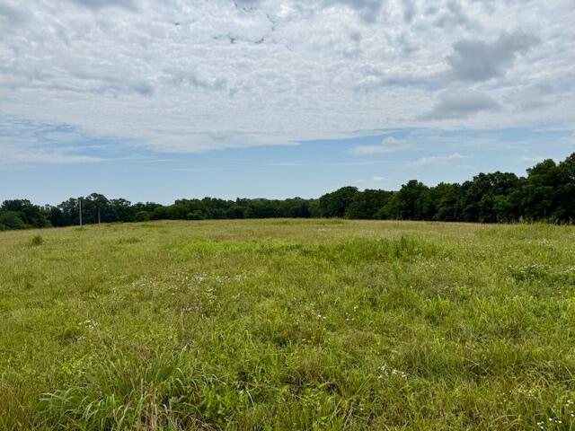 Photo 6 - Land for sale – 000  State Highway 76   Ava, MO