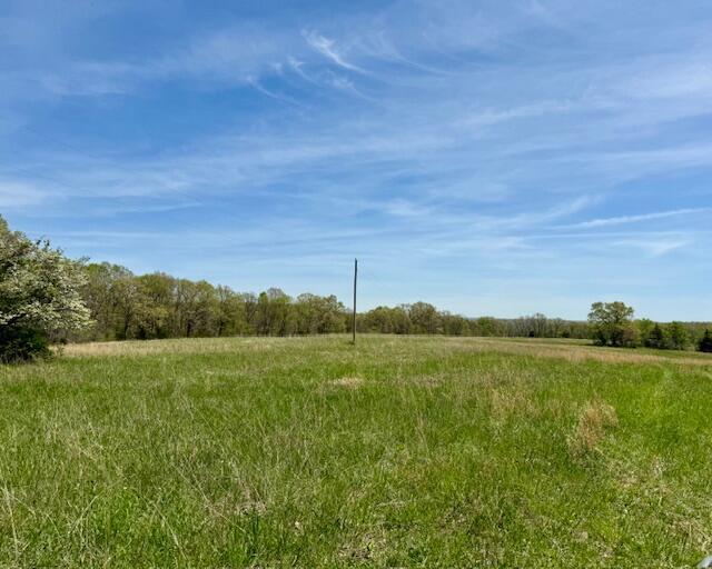Photo 19 - Land for sale – 000  State Highway 76   Ava, MO