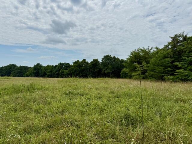 Photo 5 - Land for sale – 000  State Highway 76   Ava, MO