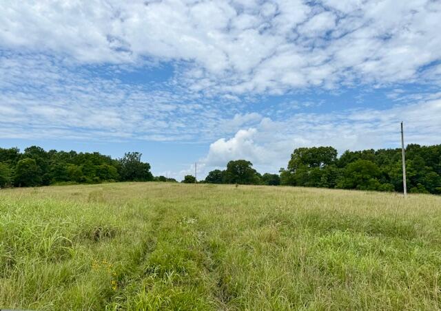 Photo 2 - Land for sale – 000  State Highway 76   Ava, MO