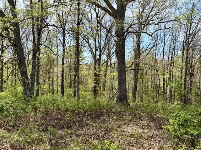 Photo 11 - Land for sale – 000  State Highway 76   Ava, MO