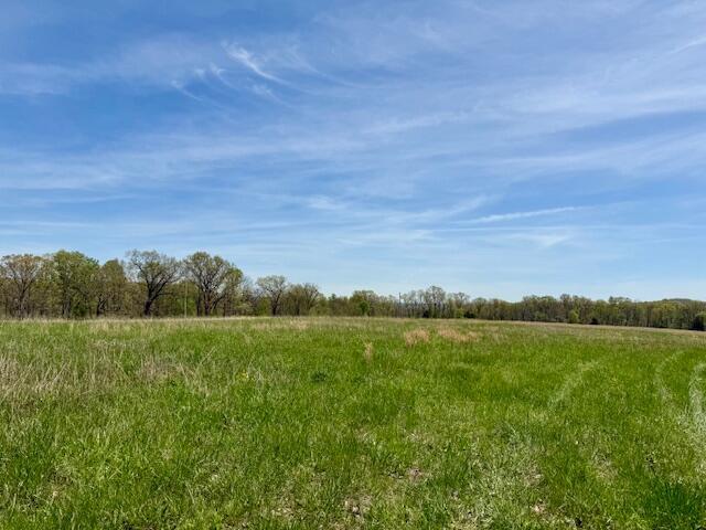 Photo 18 - Land for sale – 000  State Highway 76   Ava, MO