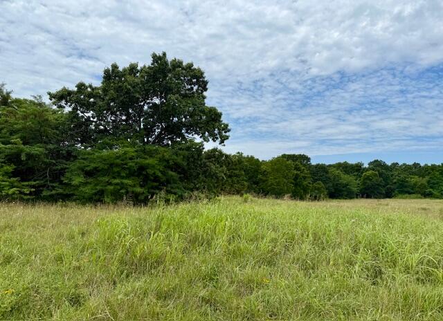 Land for sale – 000  State Highway 76   Ava, MO