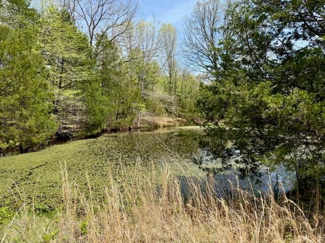 Photo 12 - Land for sale – 000  State Highway 76   Ava, MO