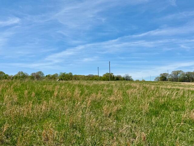 Photo 15 - Land for sale – 000  State Highway 76   Ava, MO