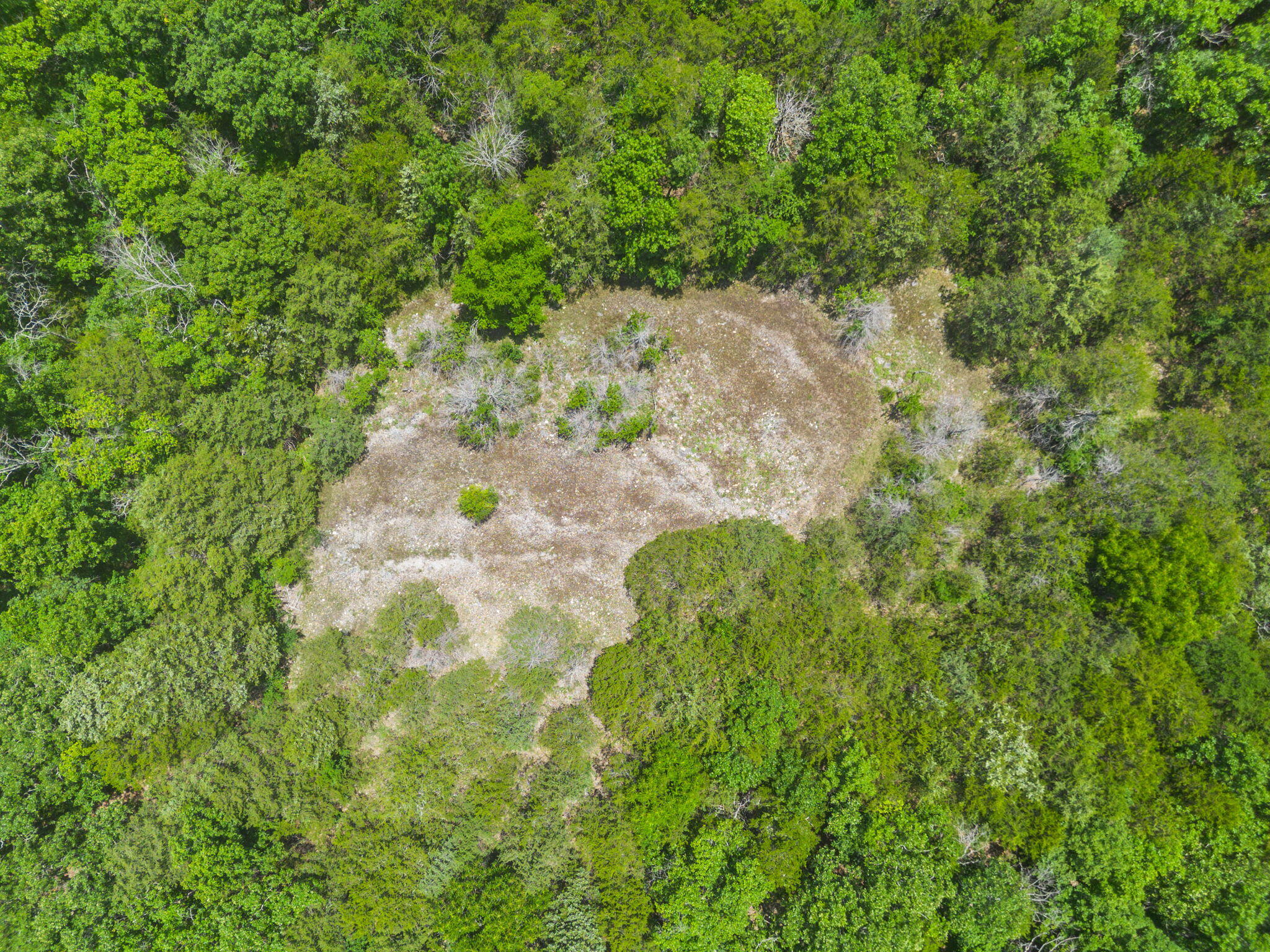 Photo 3 - Land for sale – Tbd  Hwy 173   Cape Fair, MO