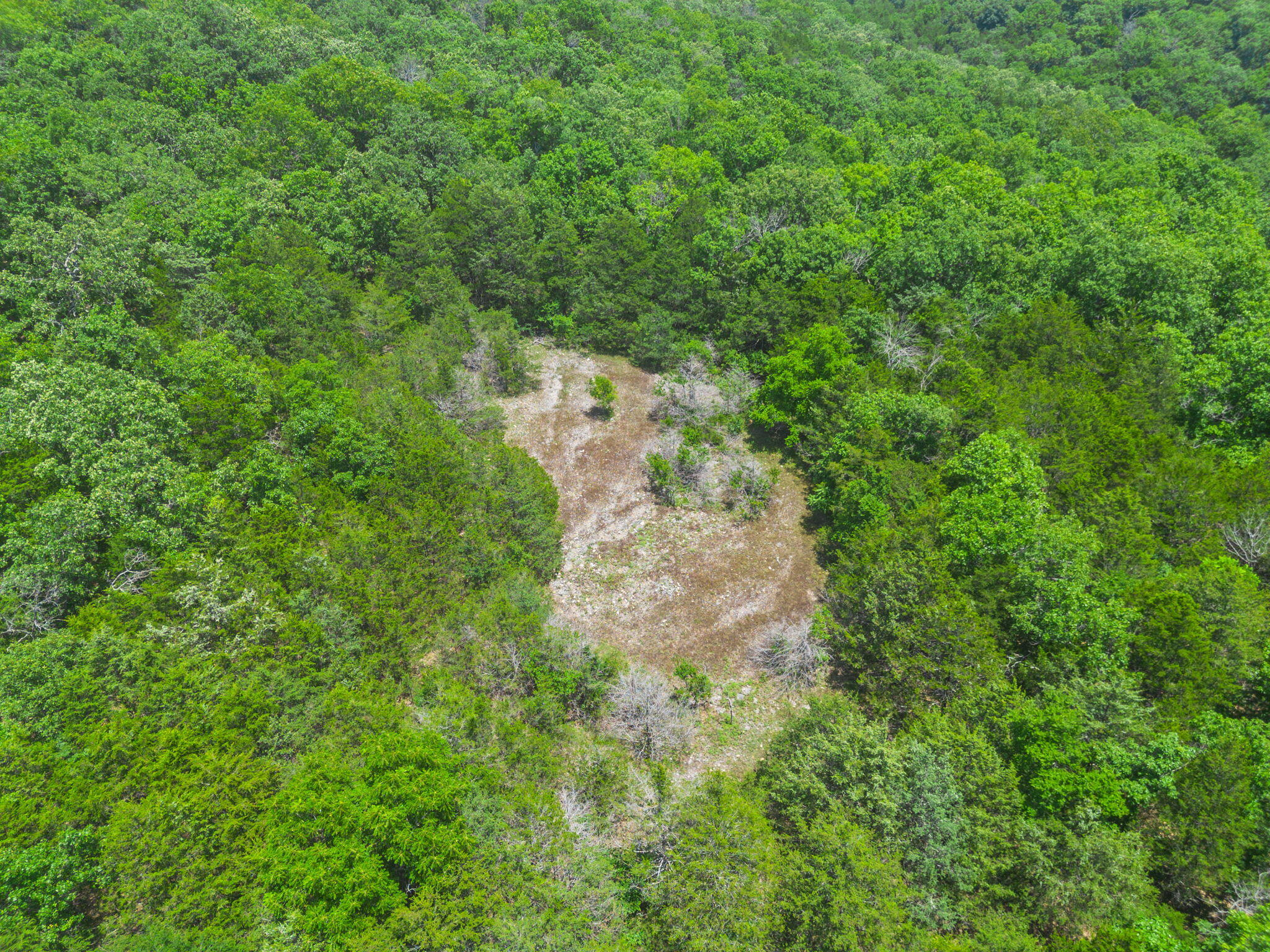 Photo 9 - Land for sale – Tbd  Hwy 173   Cape Fair, MO