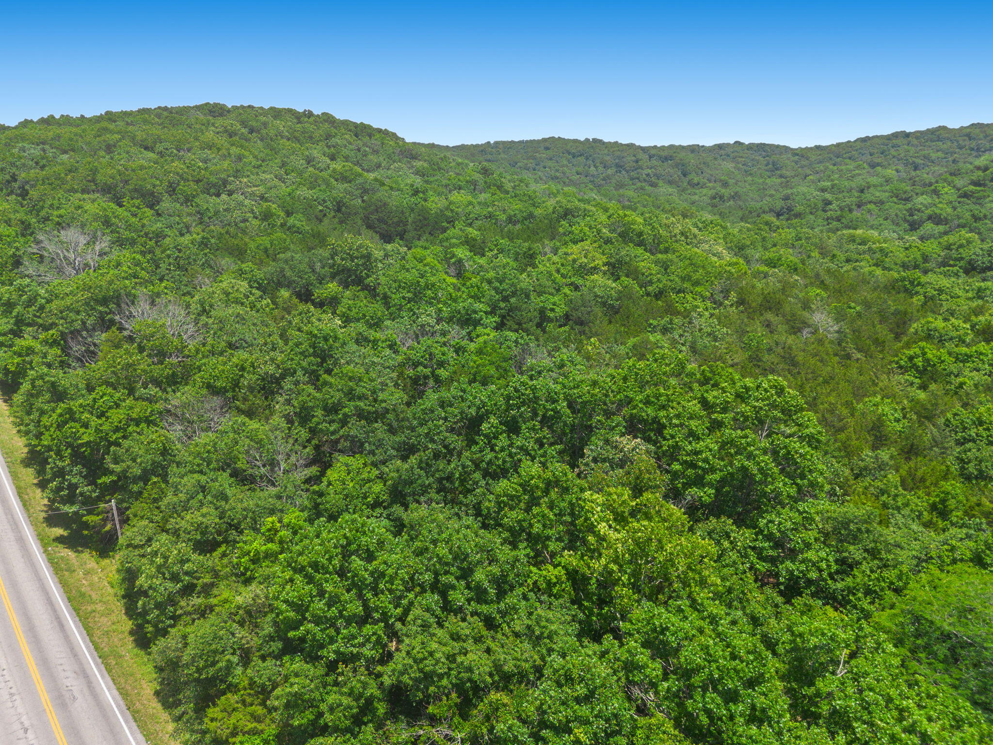 Photo 10 - Land for sale – Tbd  Hwy 173   Cape Fair, MO