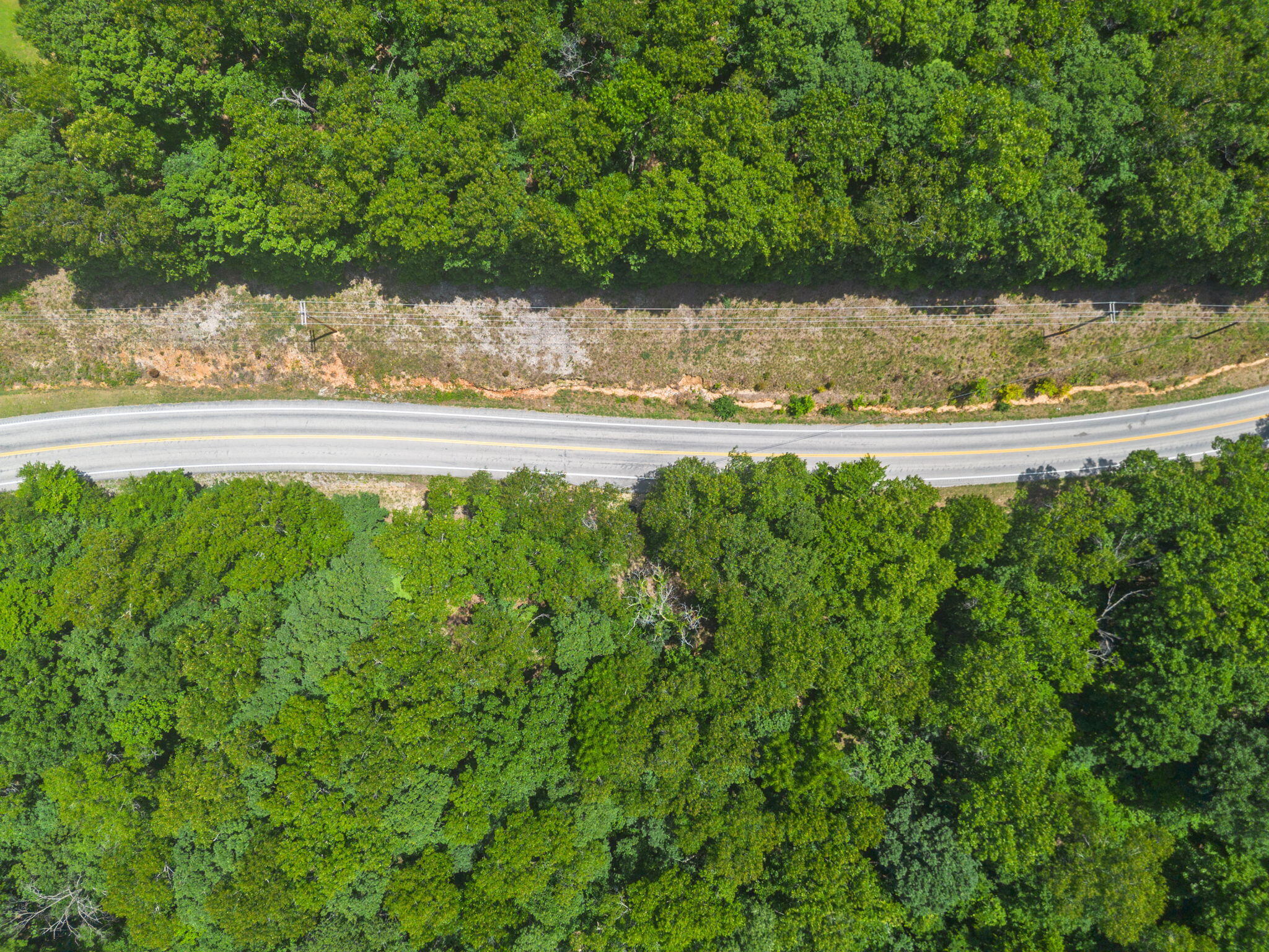 Photo 7 - Land for sale – Tbd  Hwy 173   Cape Fair, MO