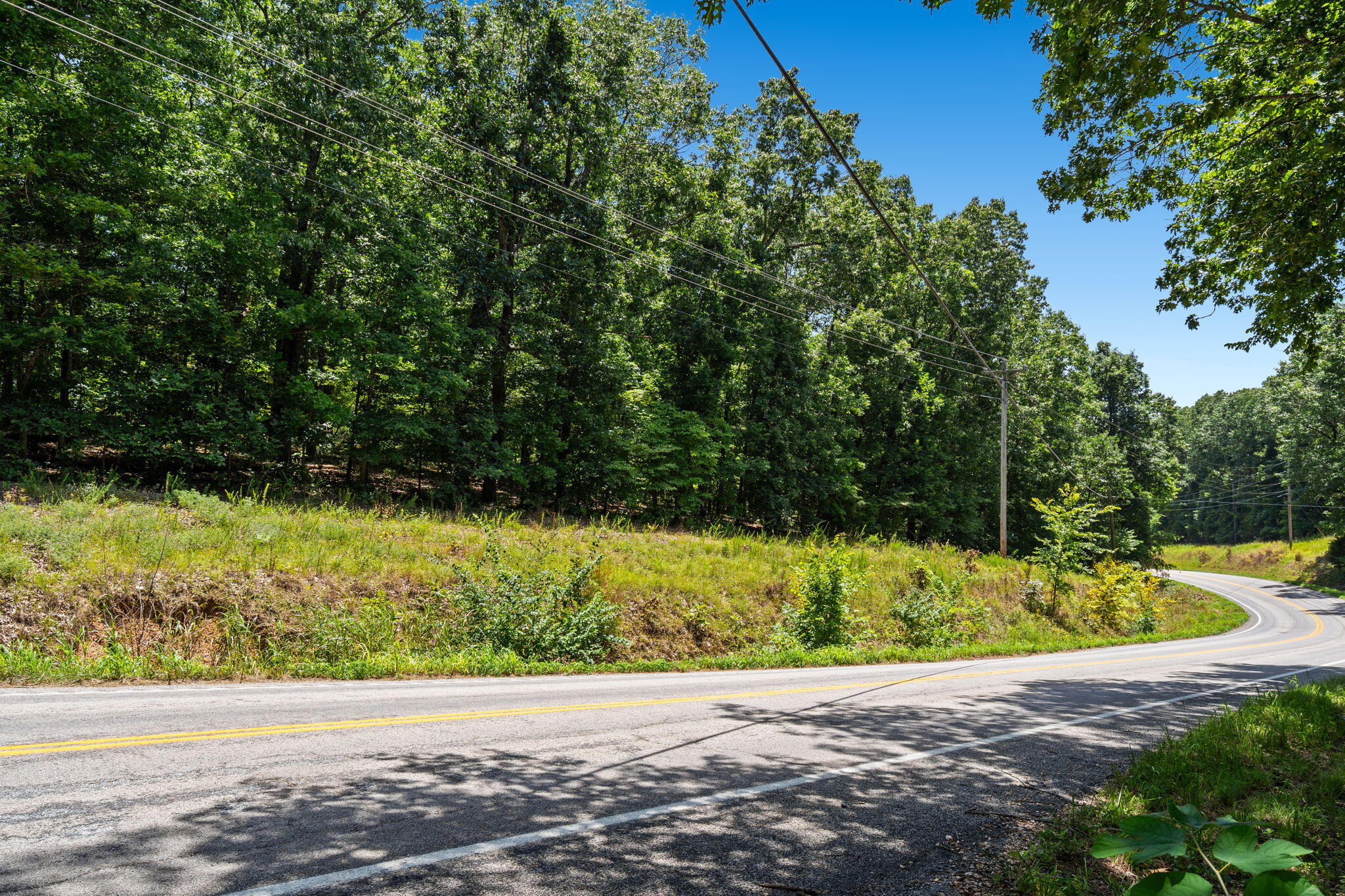 Photo 6 - Land for sale – Tbd  Hwy 173   Cape Fair, MO