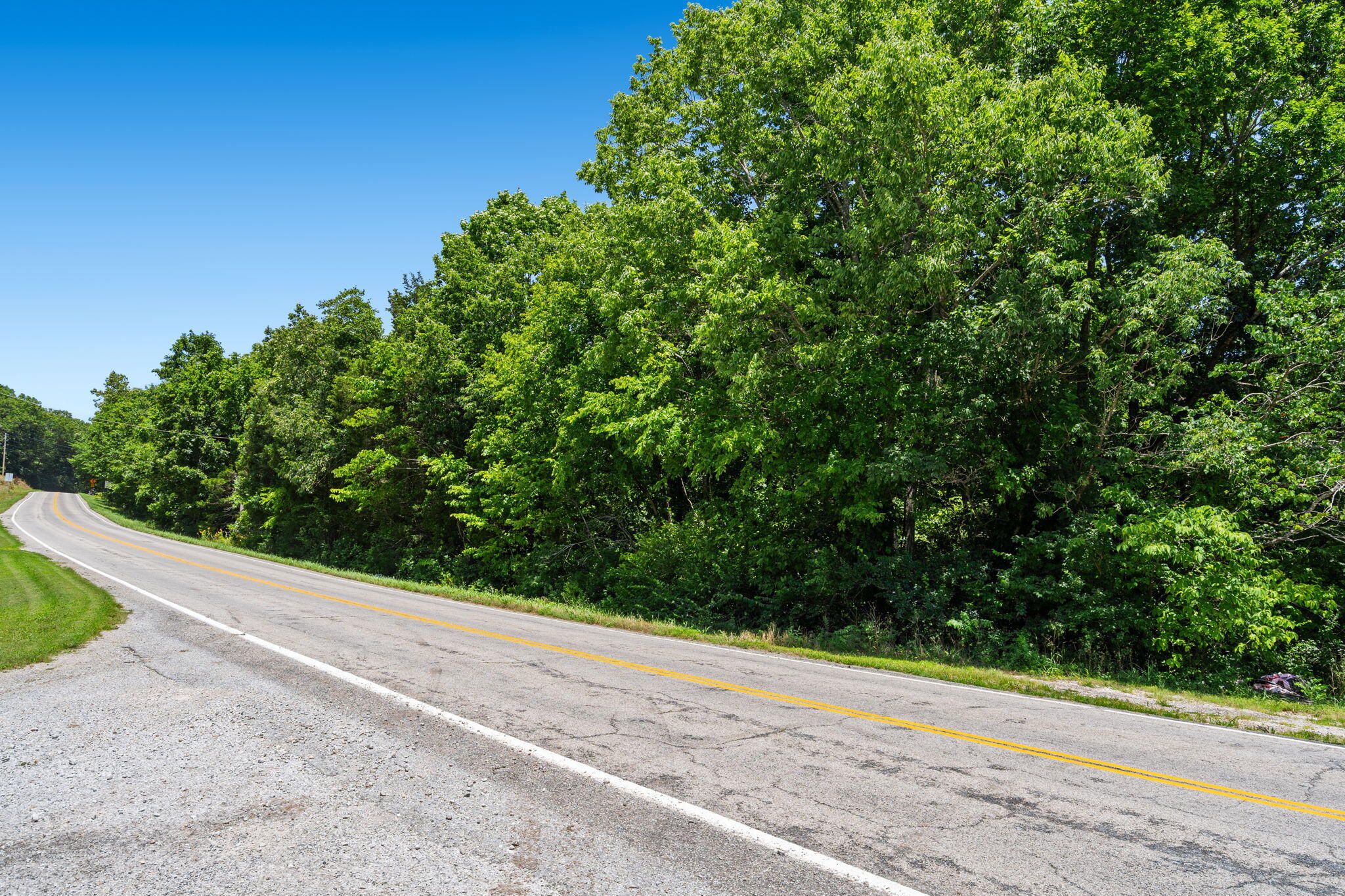 Photo 5 - Land for sale – Tbd  Hwy 173   Cape Fair, MO