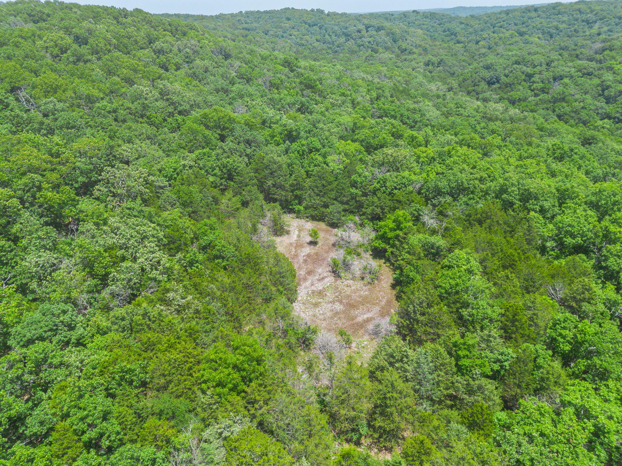 Photo 8 - Land for sale – Tbd  Hwy 173   Cape Fair, MO