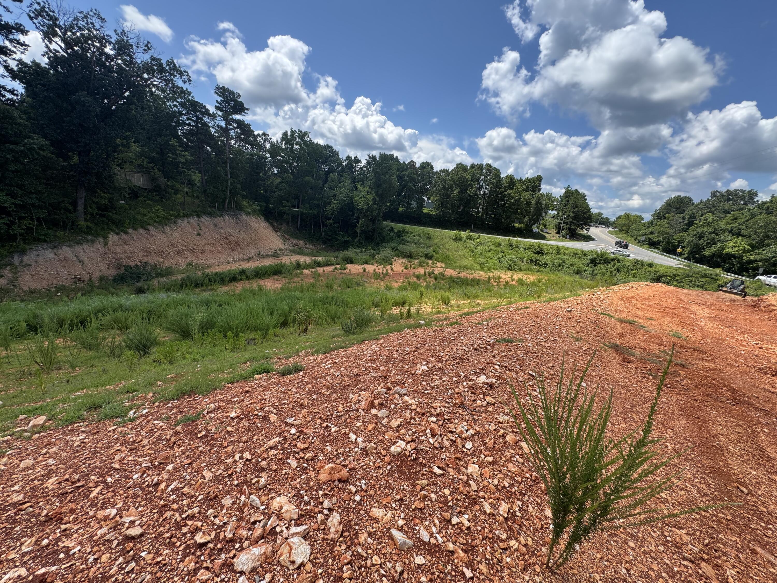 Photo 7 - Land for sale – 000  Hwy 14   Omaha, AR
