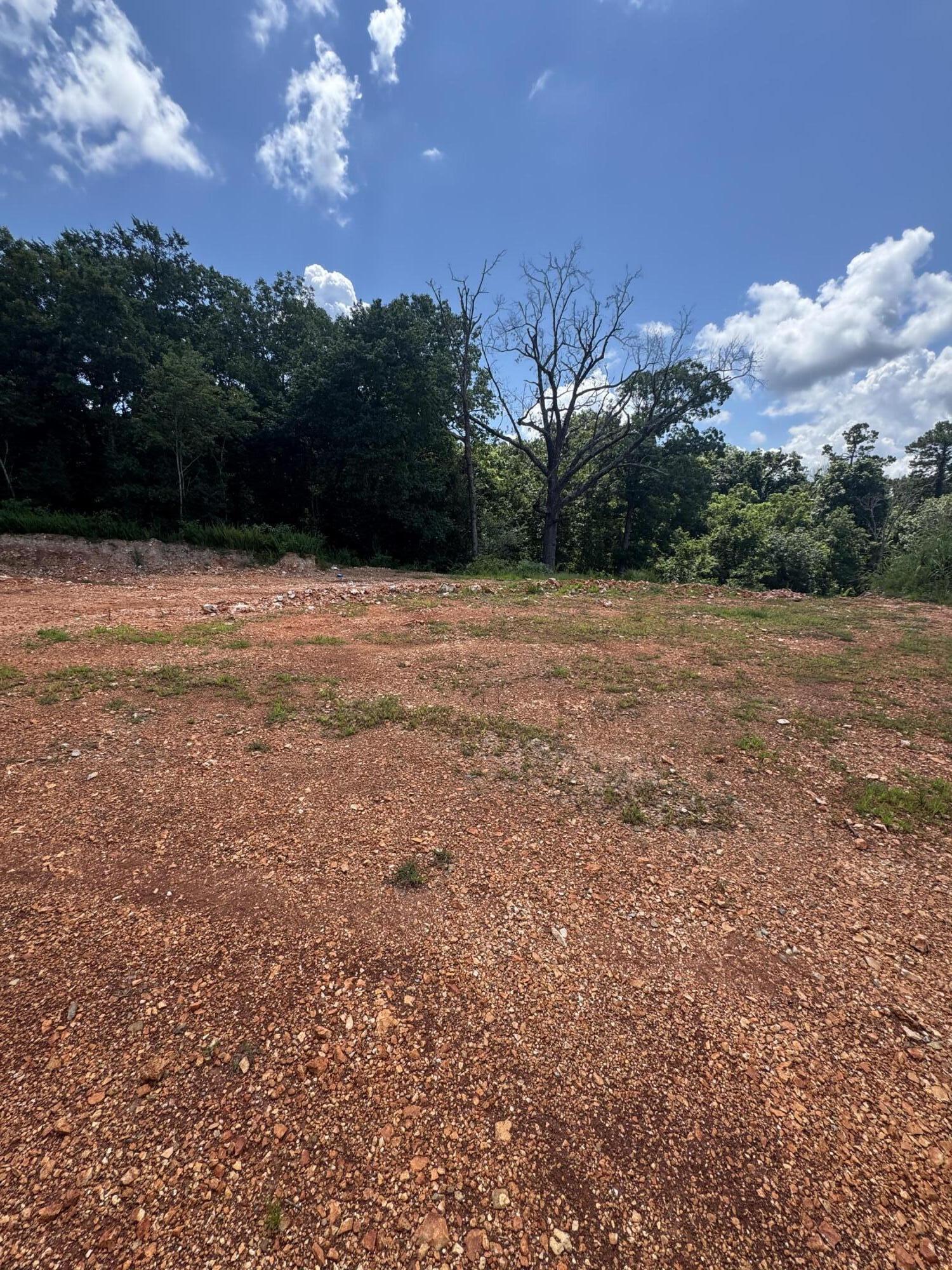 Photo 5 - Land for sale – 000  Hwy 14   Omaha, AR