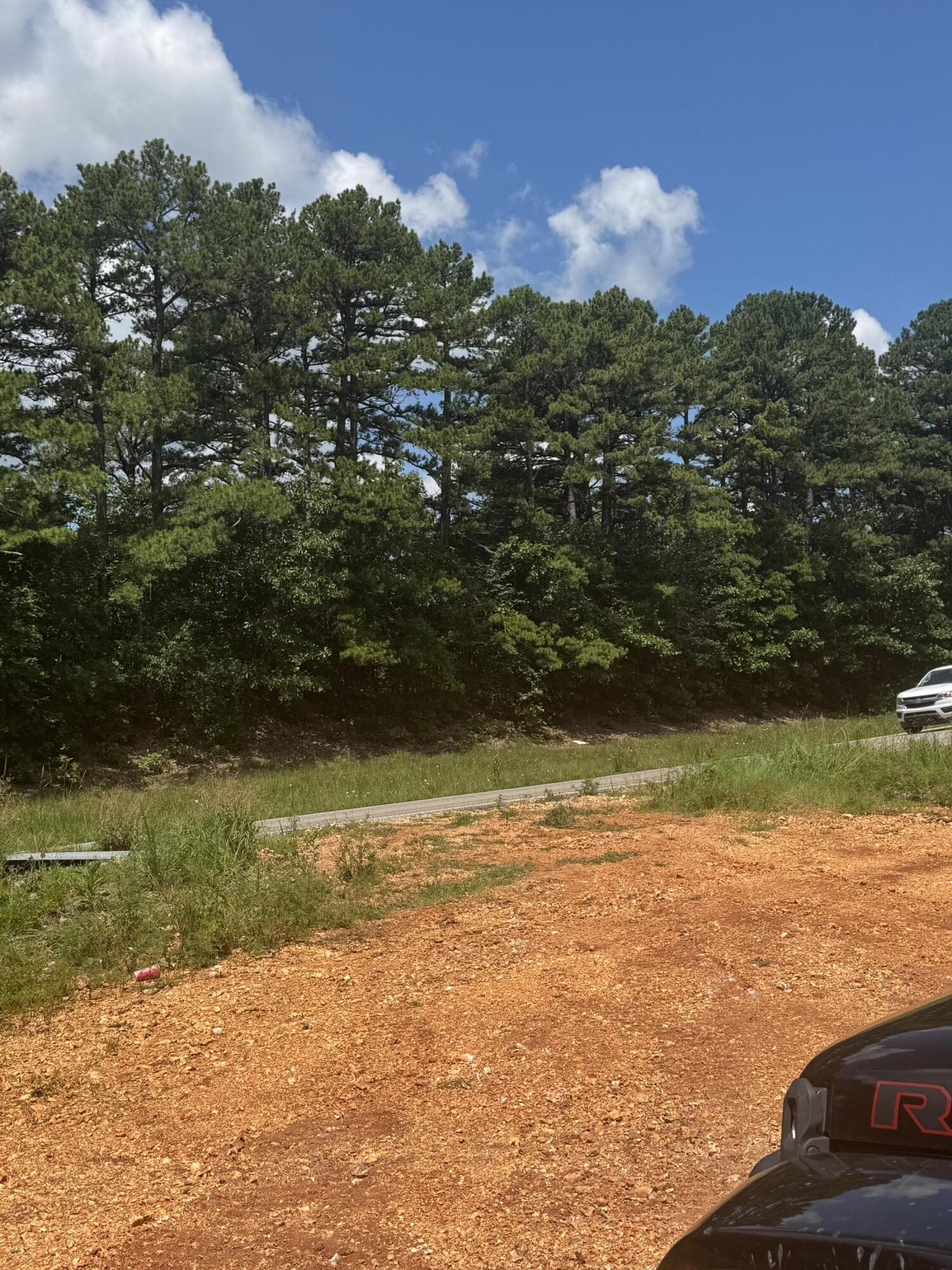 Photo 11 - Land for sale – 000  Hwy 14   Omaha, AR