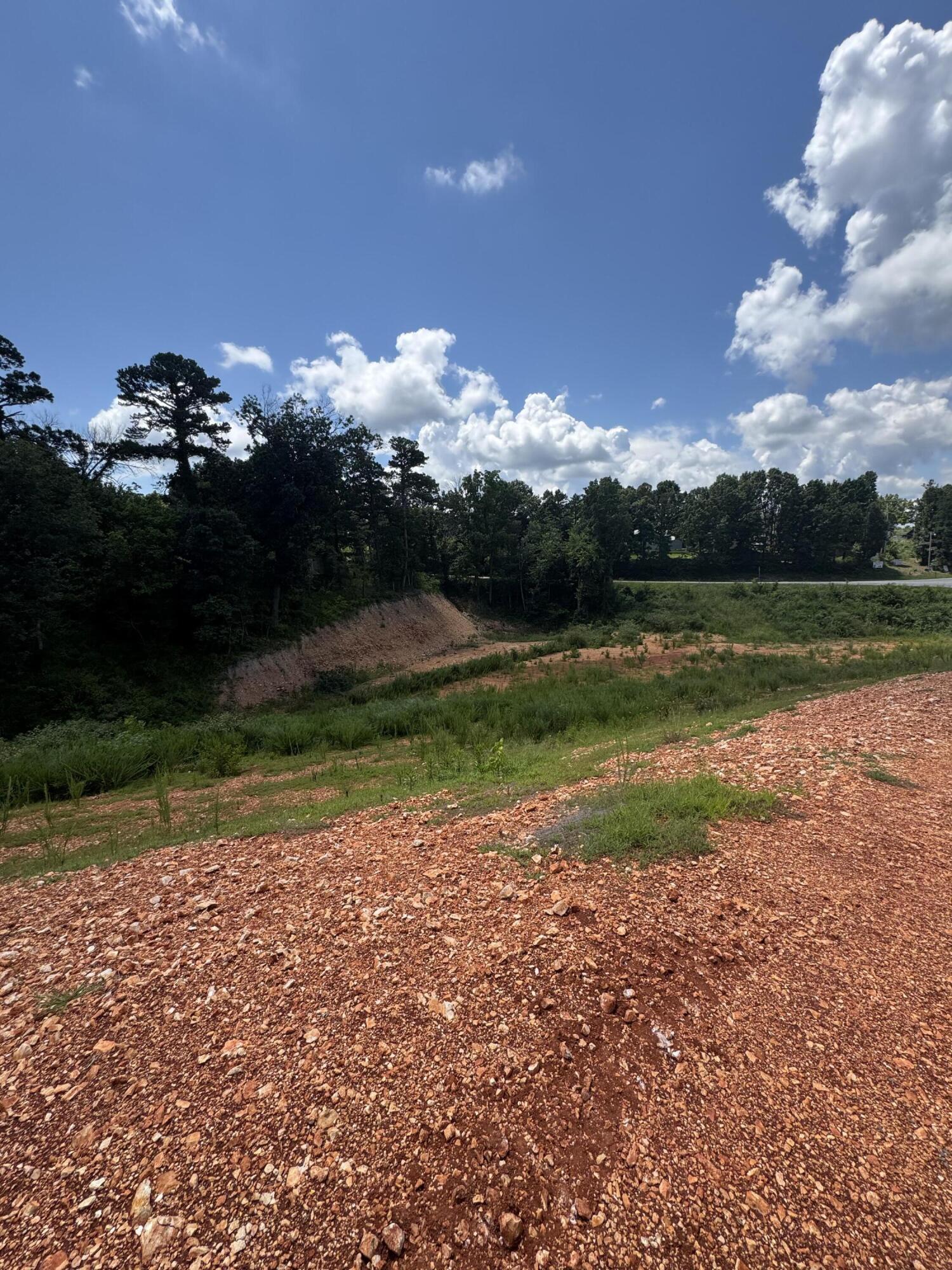 Photo 9 - Land for sale – 000  Hwy 14   Omaha, AR