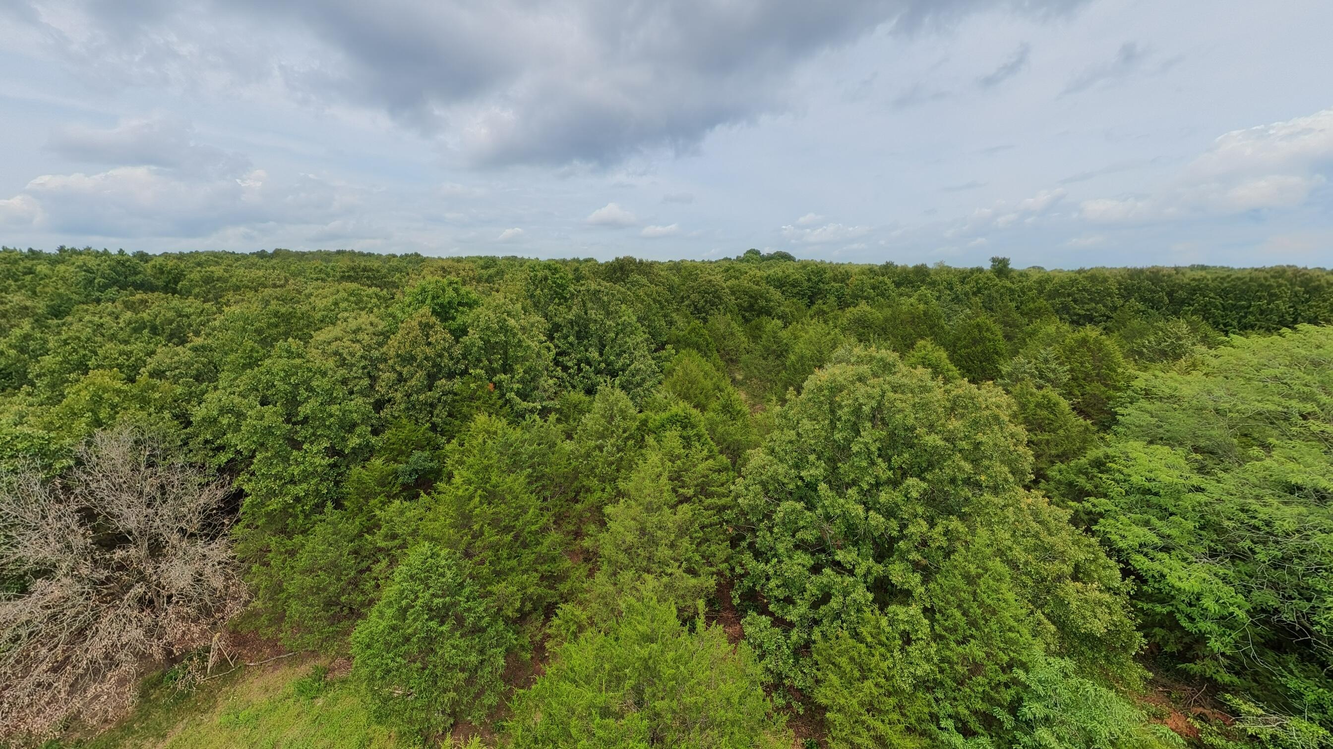 Photo 36 - Residential for sale – 3261 N Camp Creek Road  Camp, AR