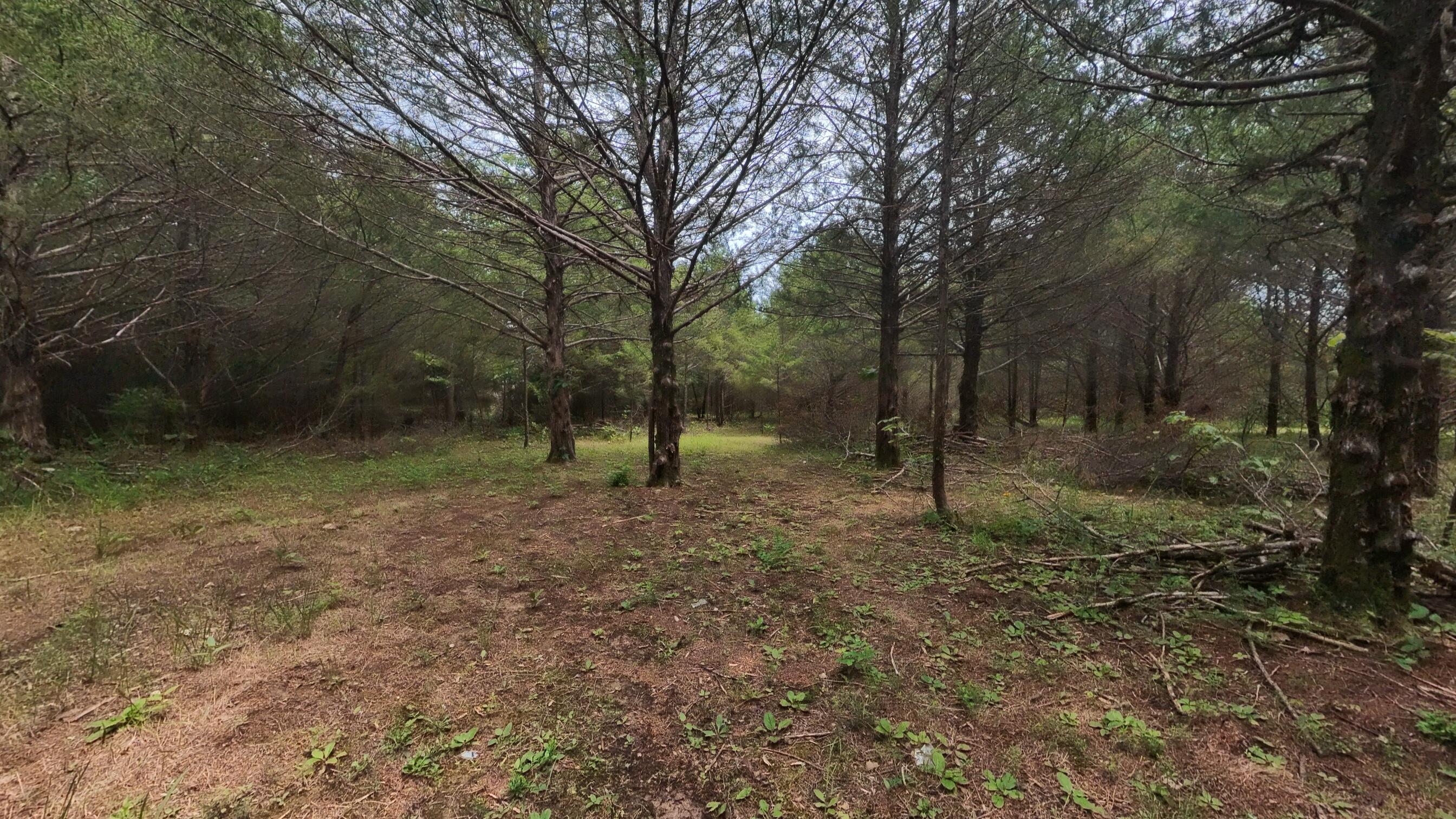 Photo 23 - Residential for sale – 3261 N Camp Creek Road  Camp, AR
