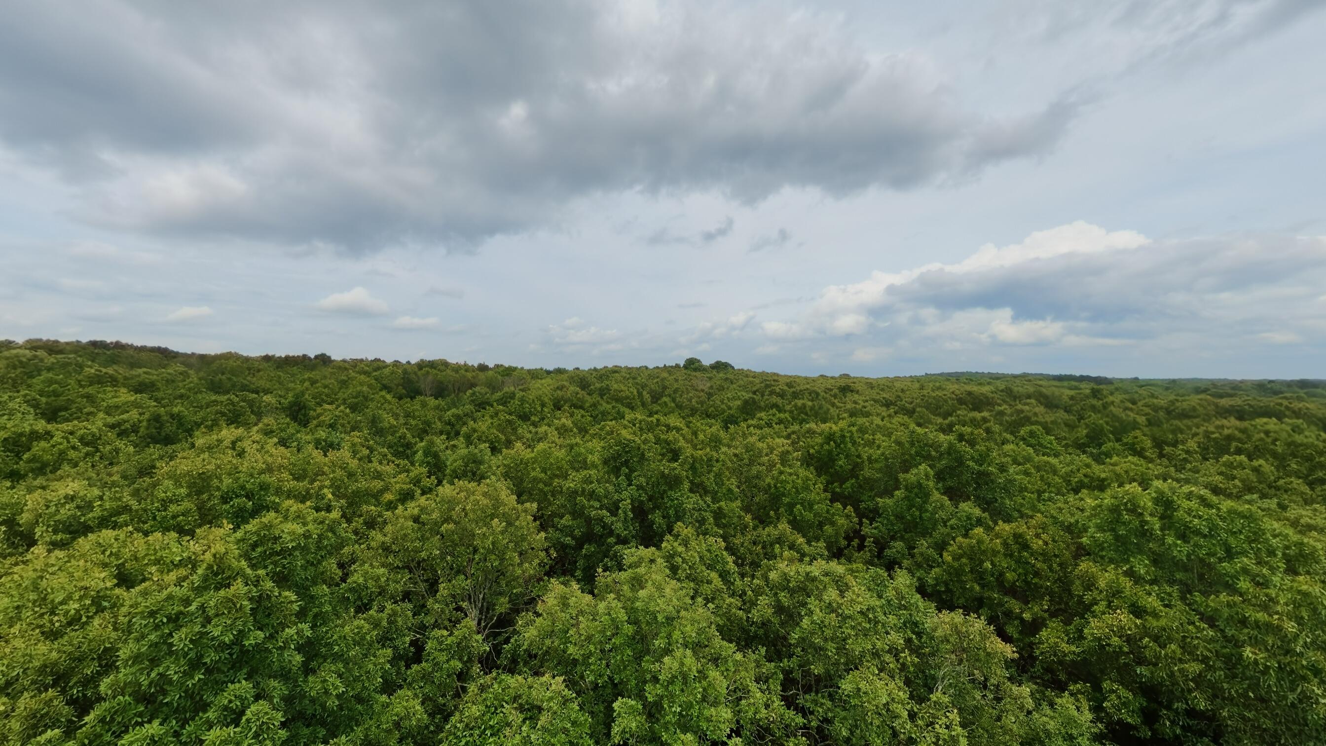Photo 38 - Residential for sale – 3261 N Camp Creek Road  Camp, AR