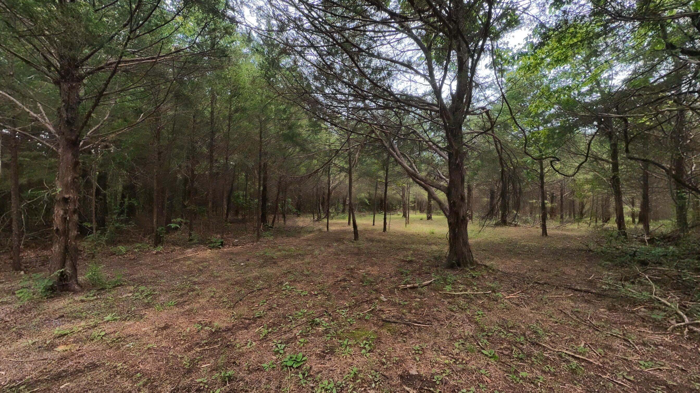 Photo 21 - Residential for sale – 3261 N Camp Creek Road  Camp, AR