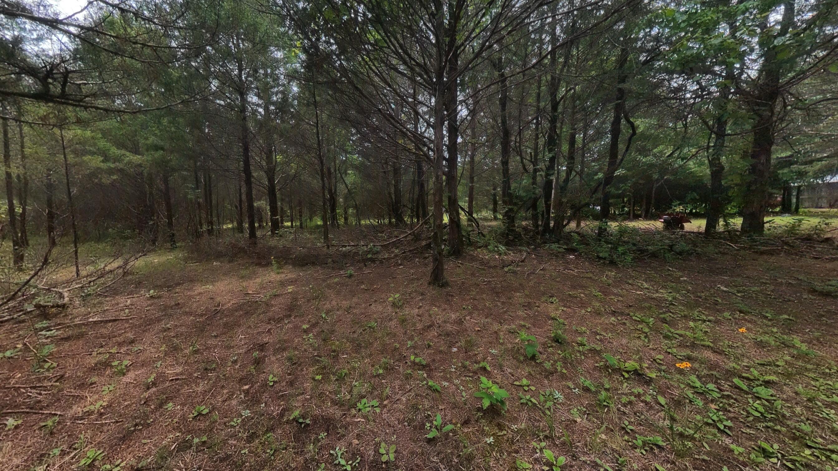 Photo 24 - Residential for sale – 3261 N Camp Creek Road  Camp, AR