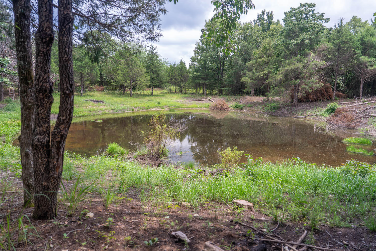 Photo 17 - Residential for sale – 3261 N Camp Creek Road  Camp, AR