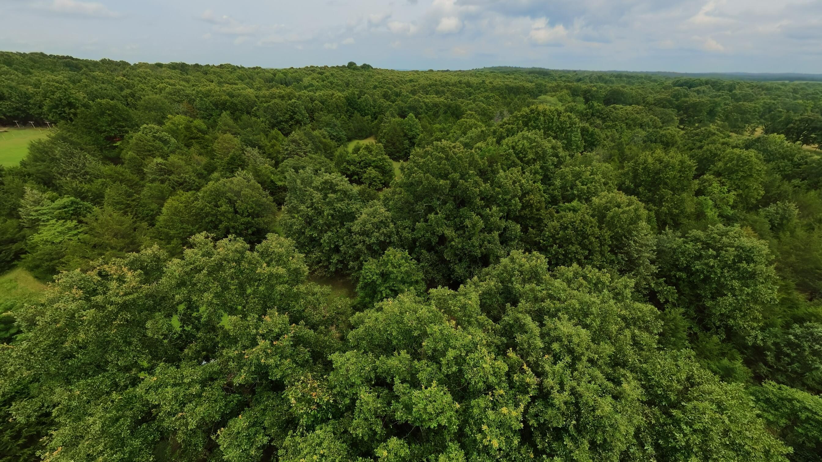 Photo 31 - Residential for sale – 3261 N Camp Creek Road  Camp, AR