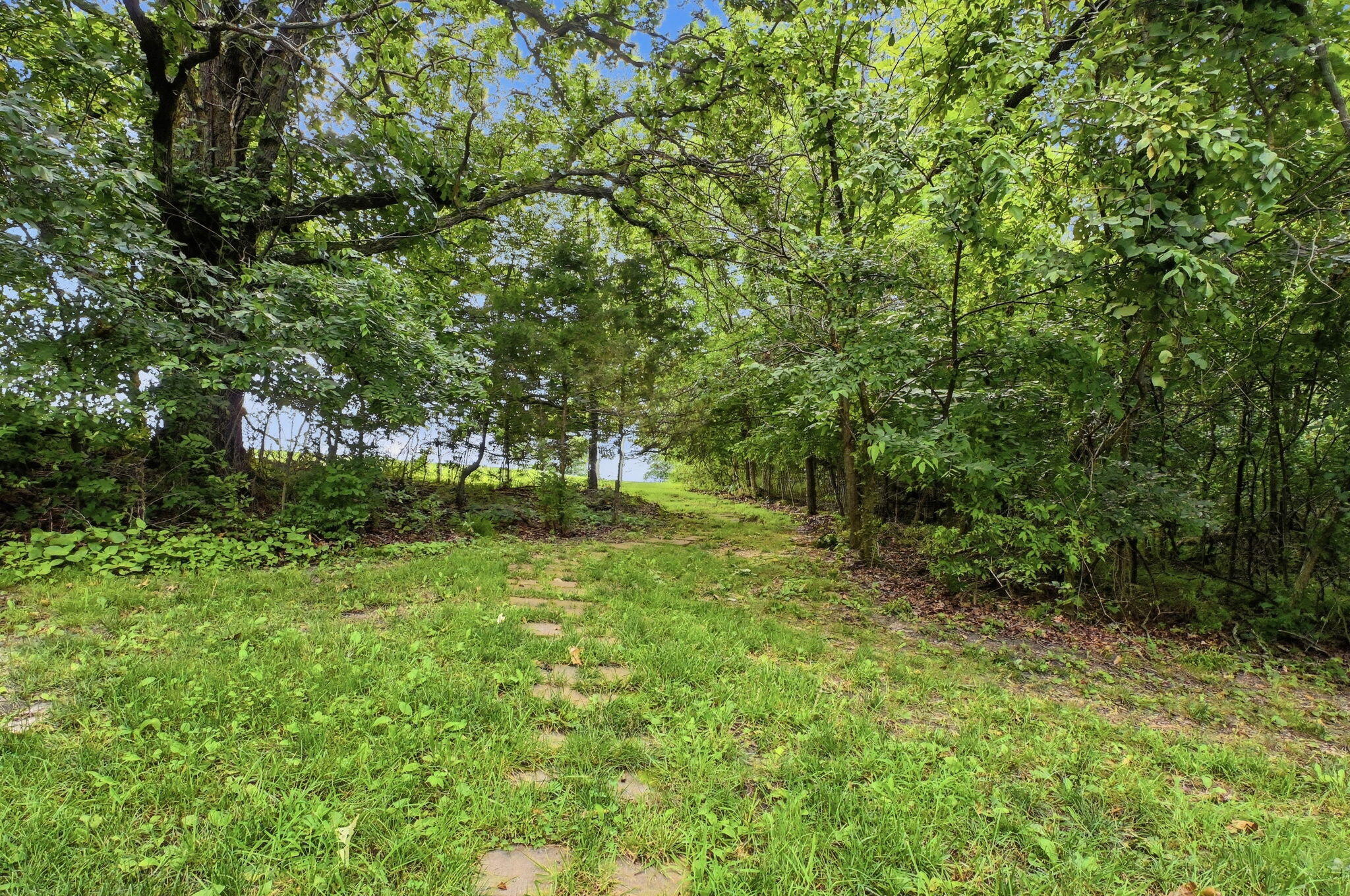 Photo 61 - Residential for sale – 4327 S 165th Road  Bolivar, MO