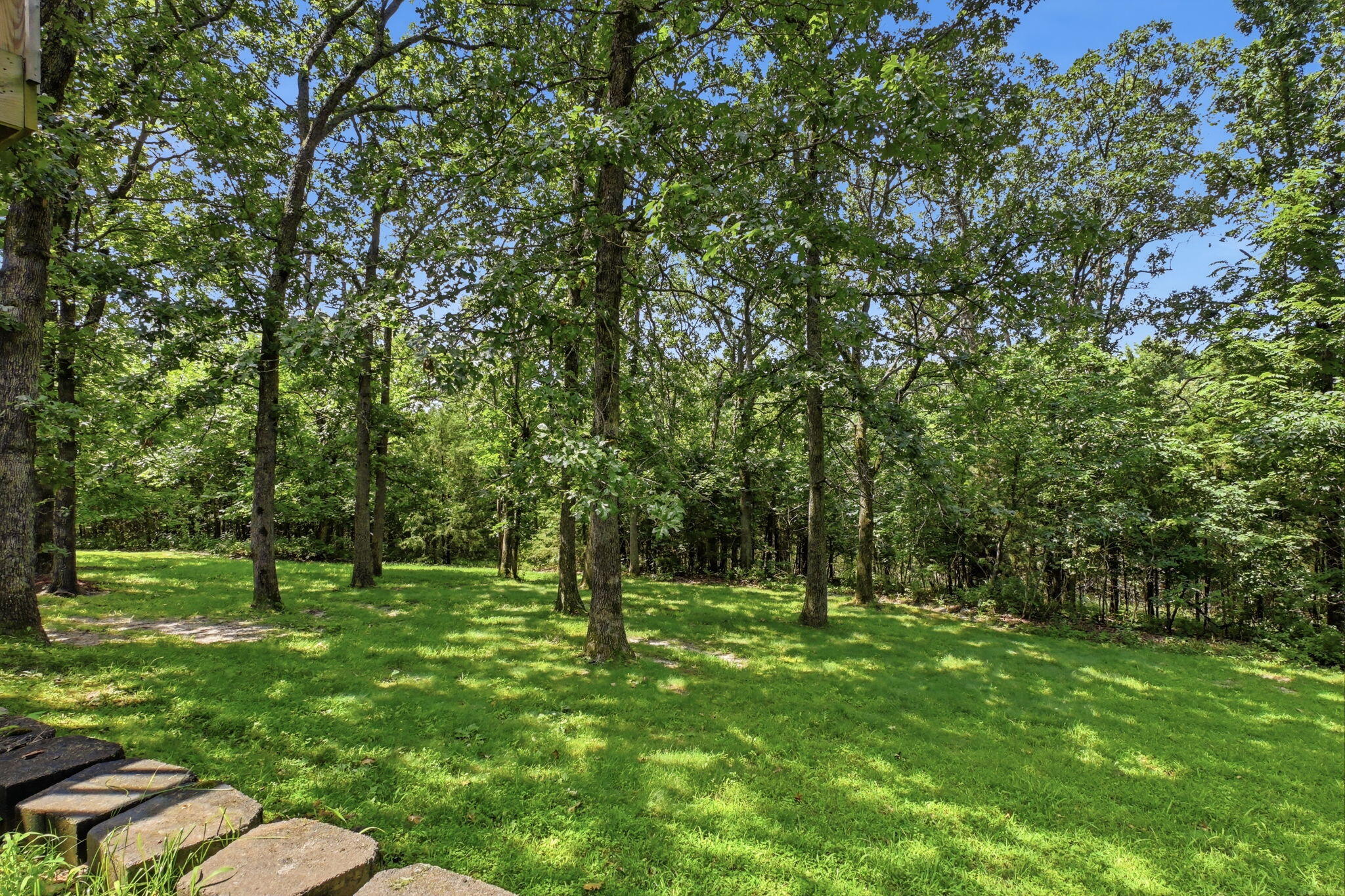 Photo 59 - Residential for sale – 4327 S 165th Road  Bolivar, MO